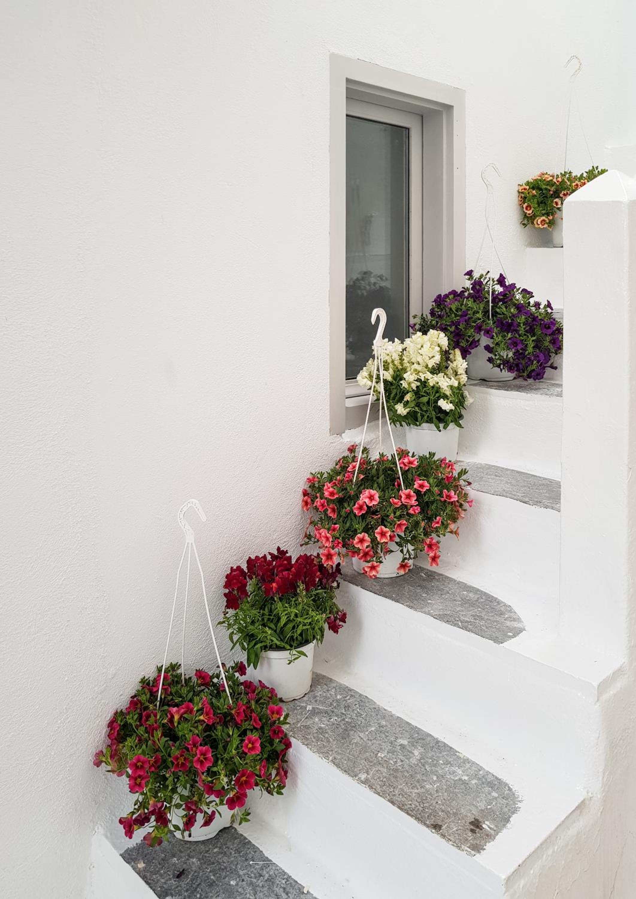 aníko suites Chora