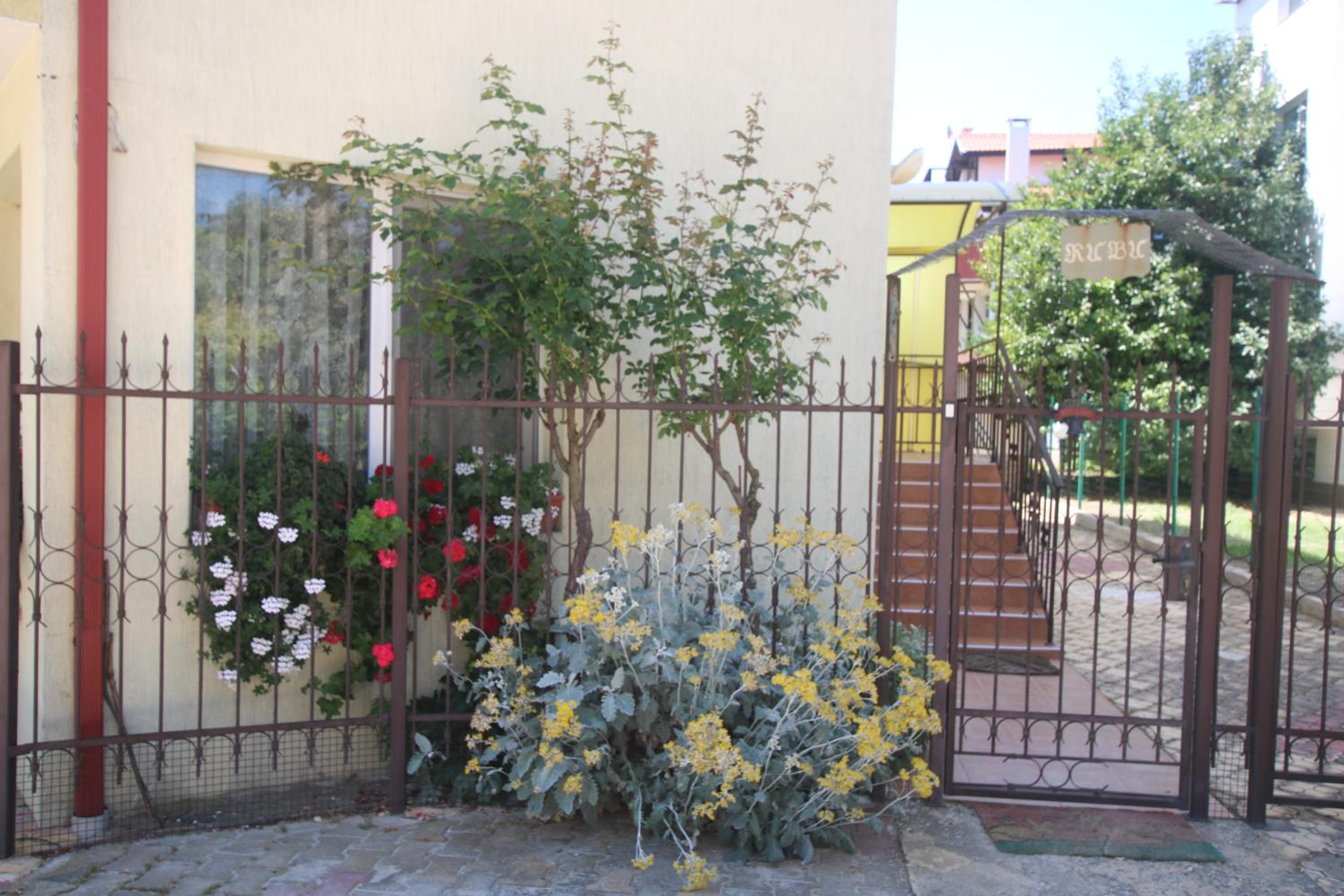 Guest House Kiwi