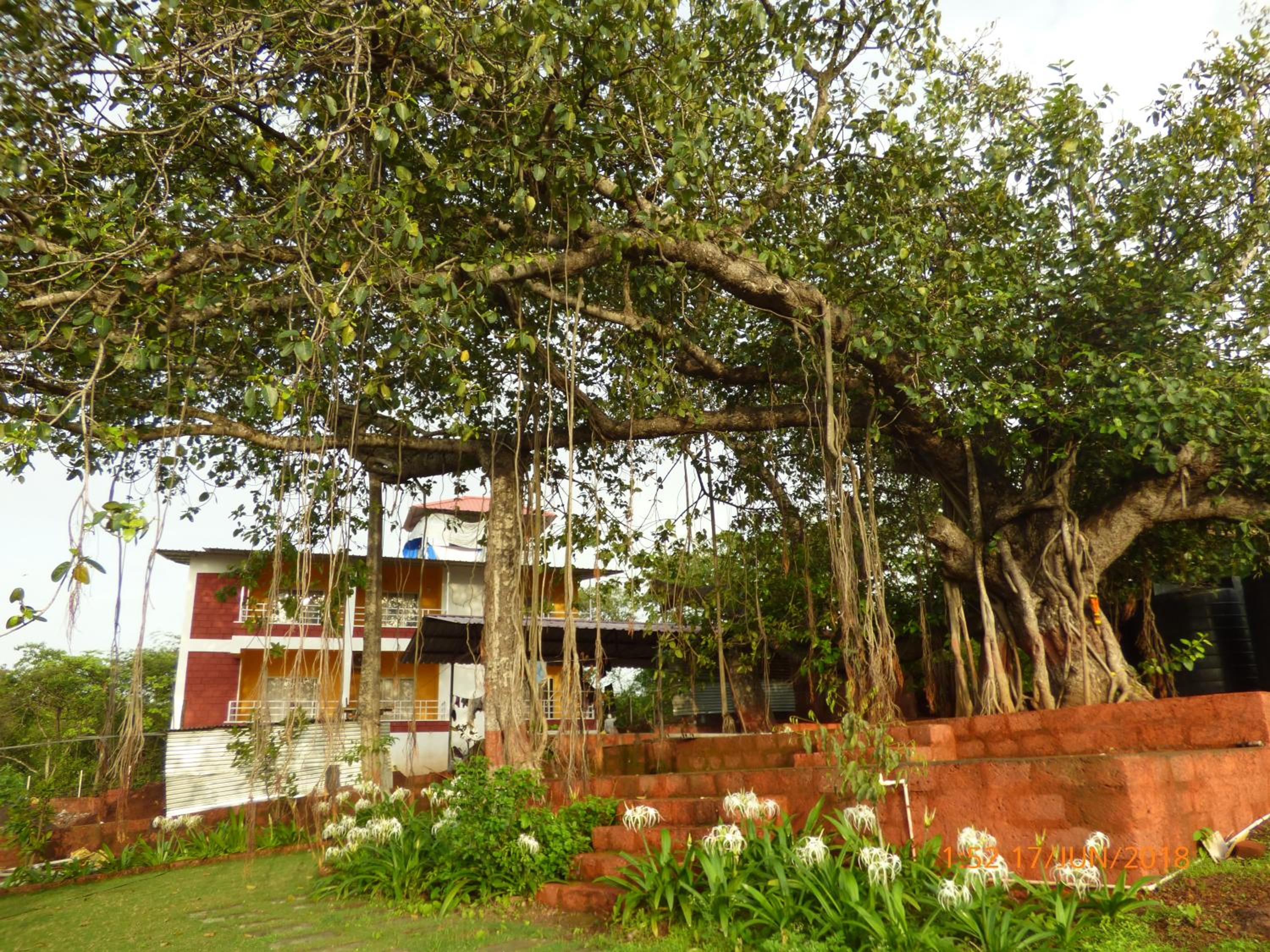 Photo 43