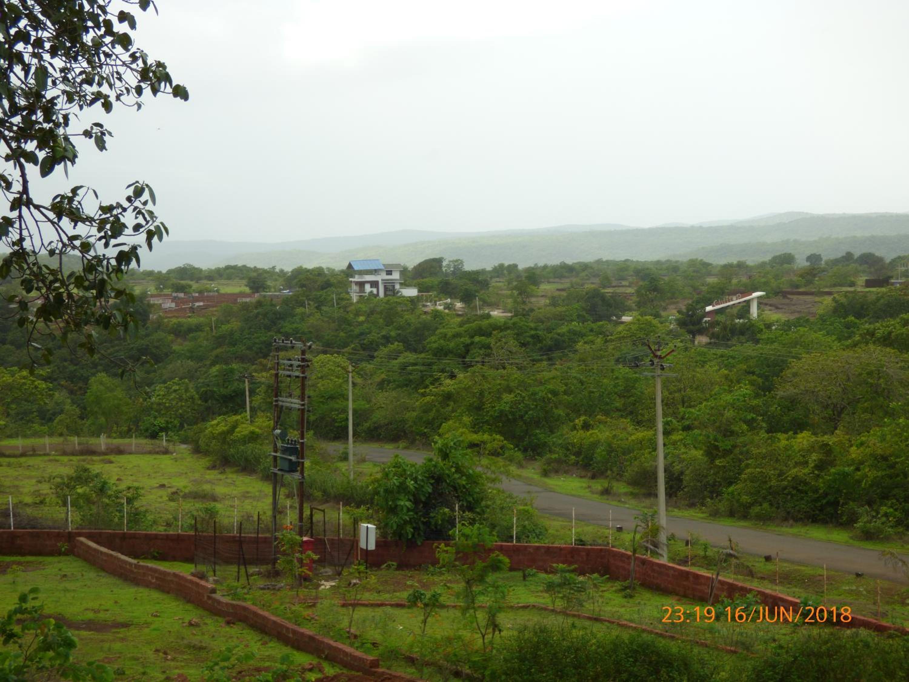 Photo 45