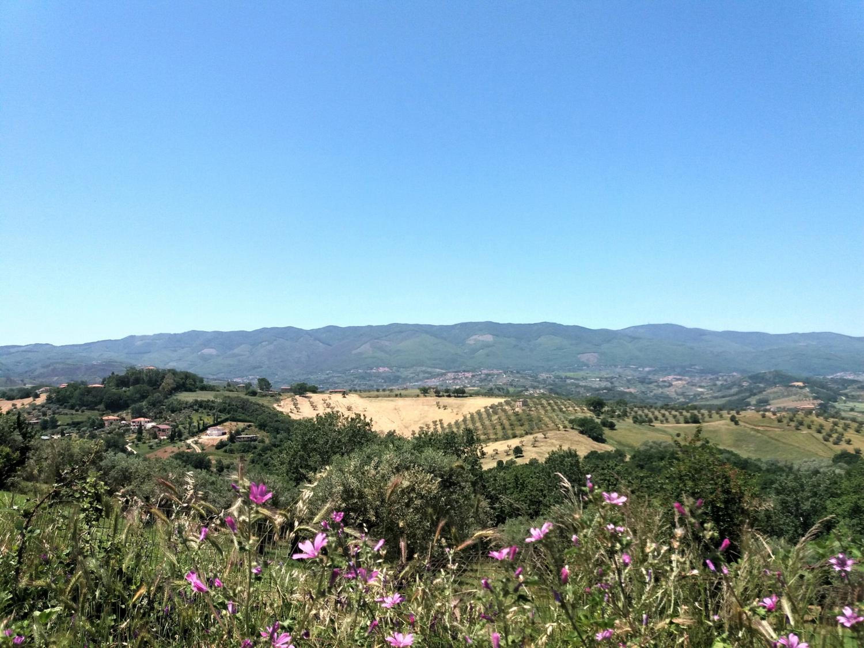 B&B Le Vedute view 4