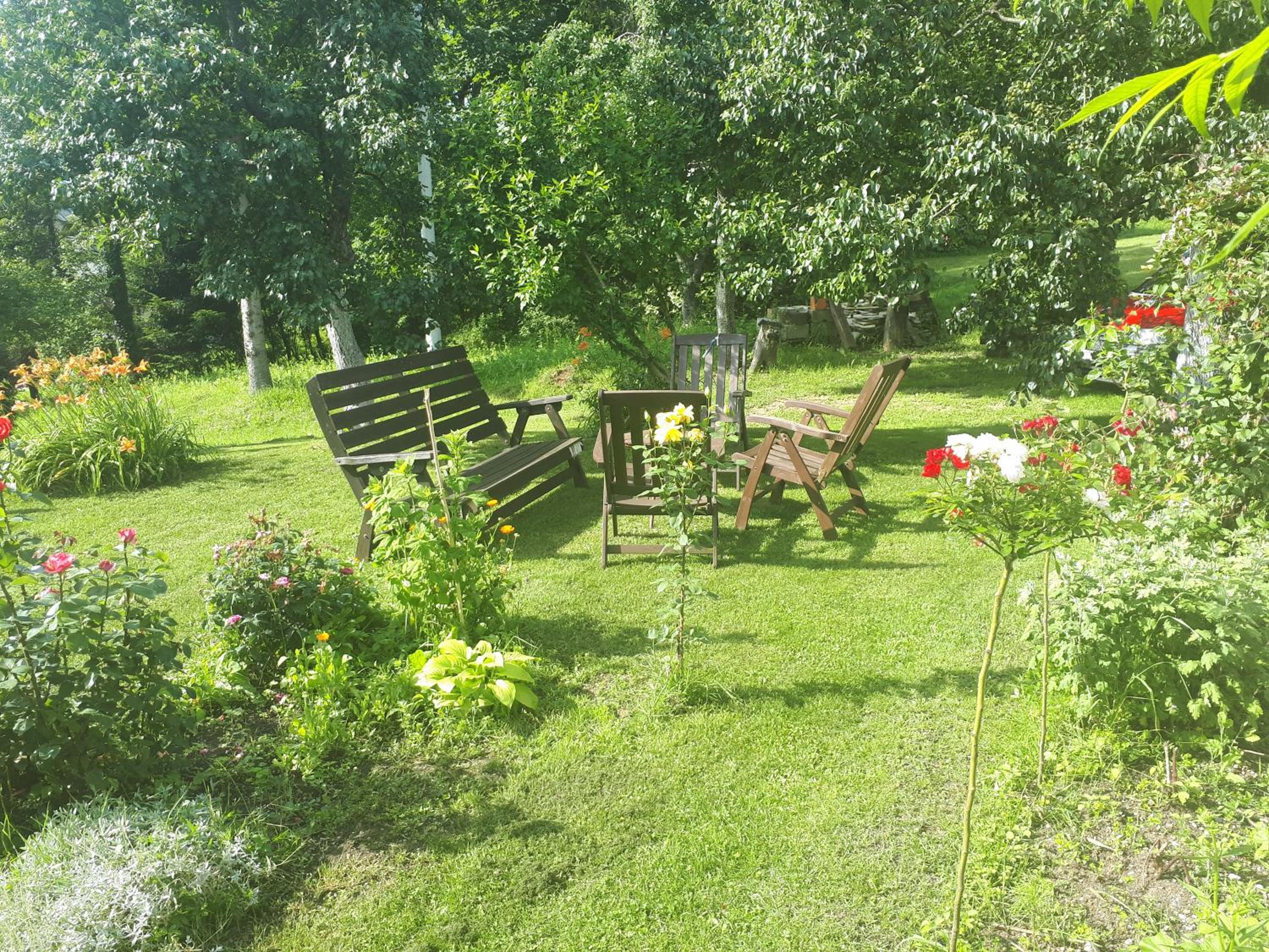 Photo 24