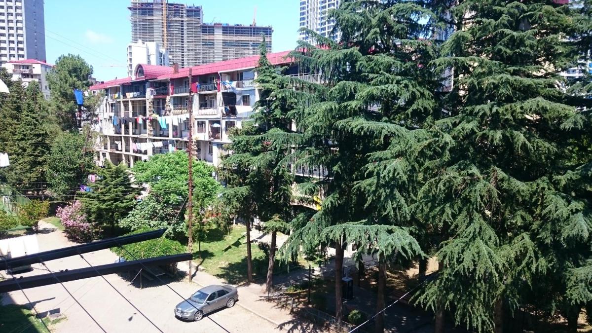 Comfortable Apartment in Batumi view 5