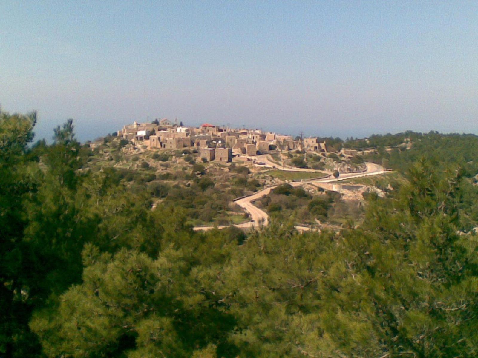 Photo 26