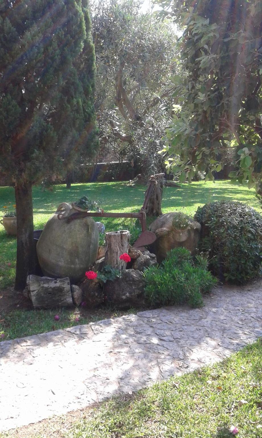 Photo 24