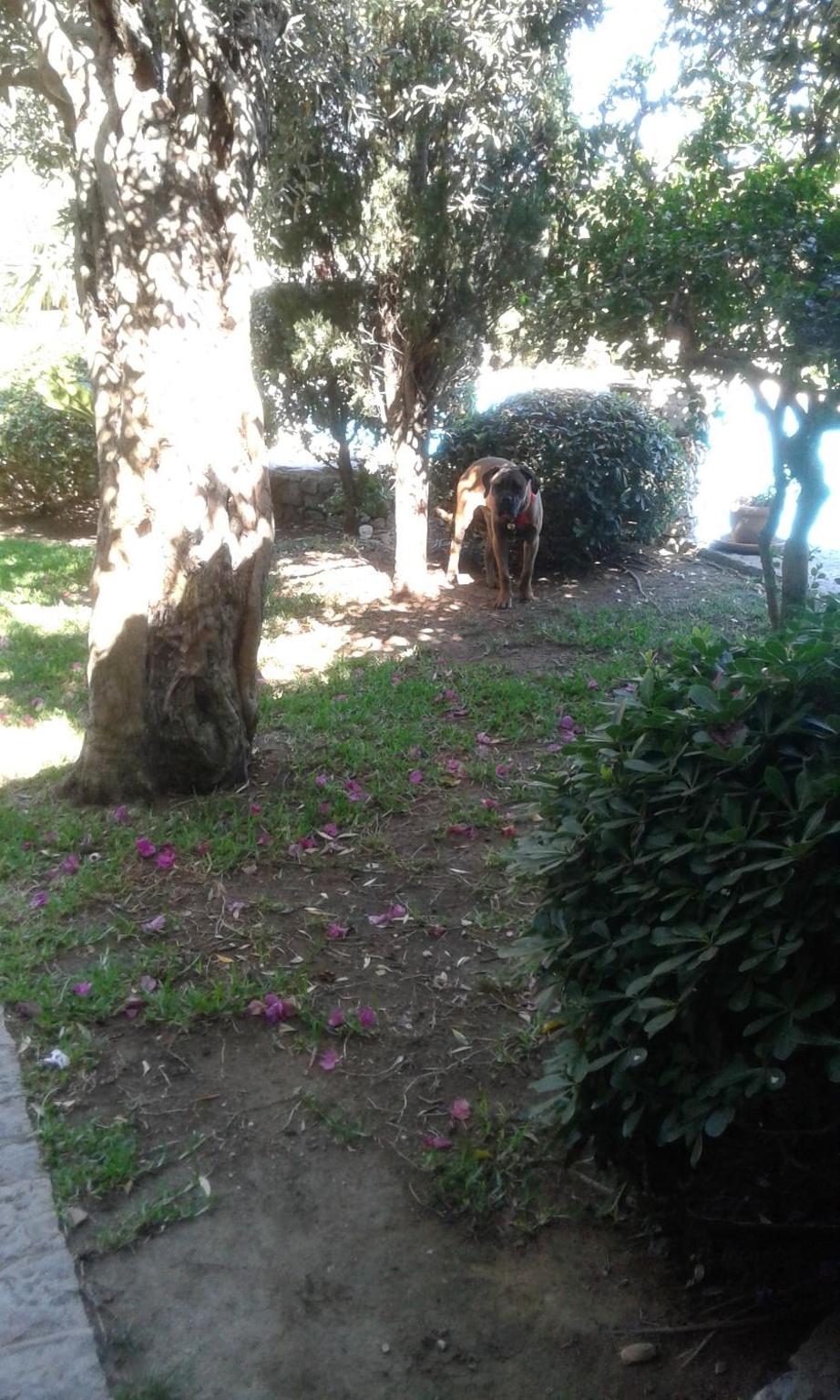 Photo 29