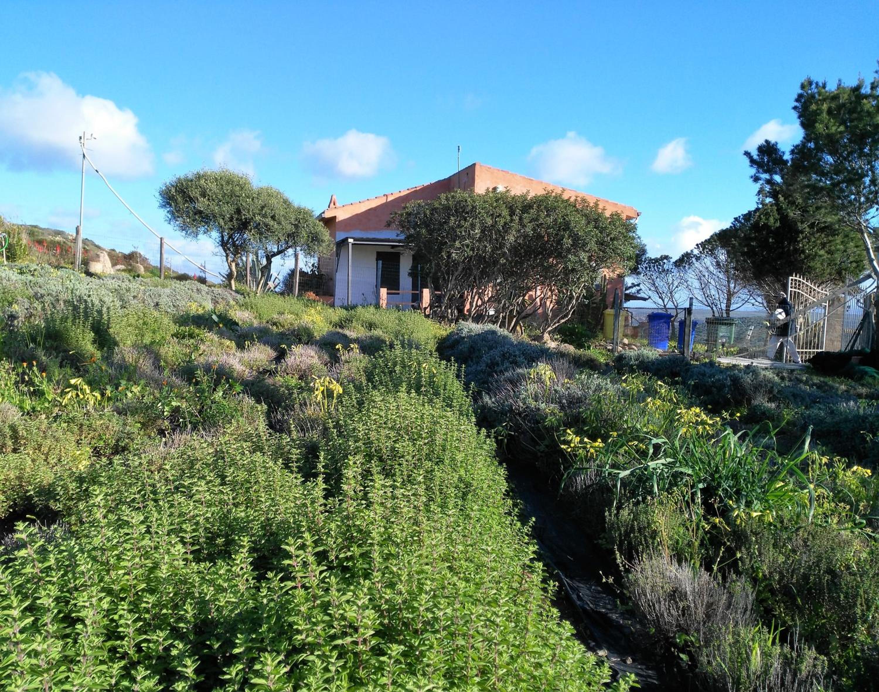 Agriturismo Glamping Erbe Matte