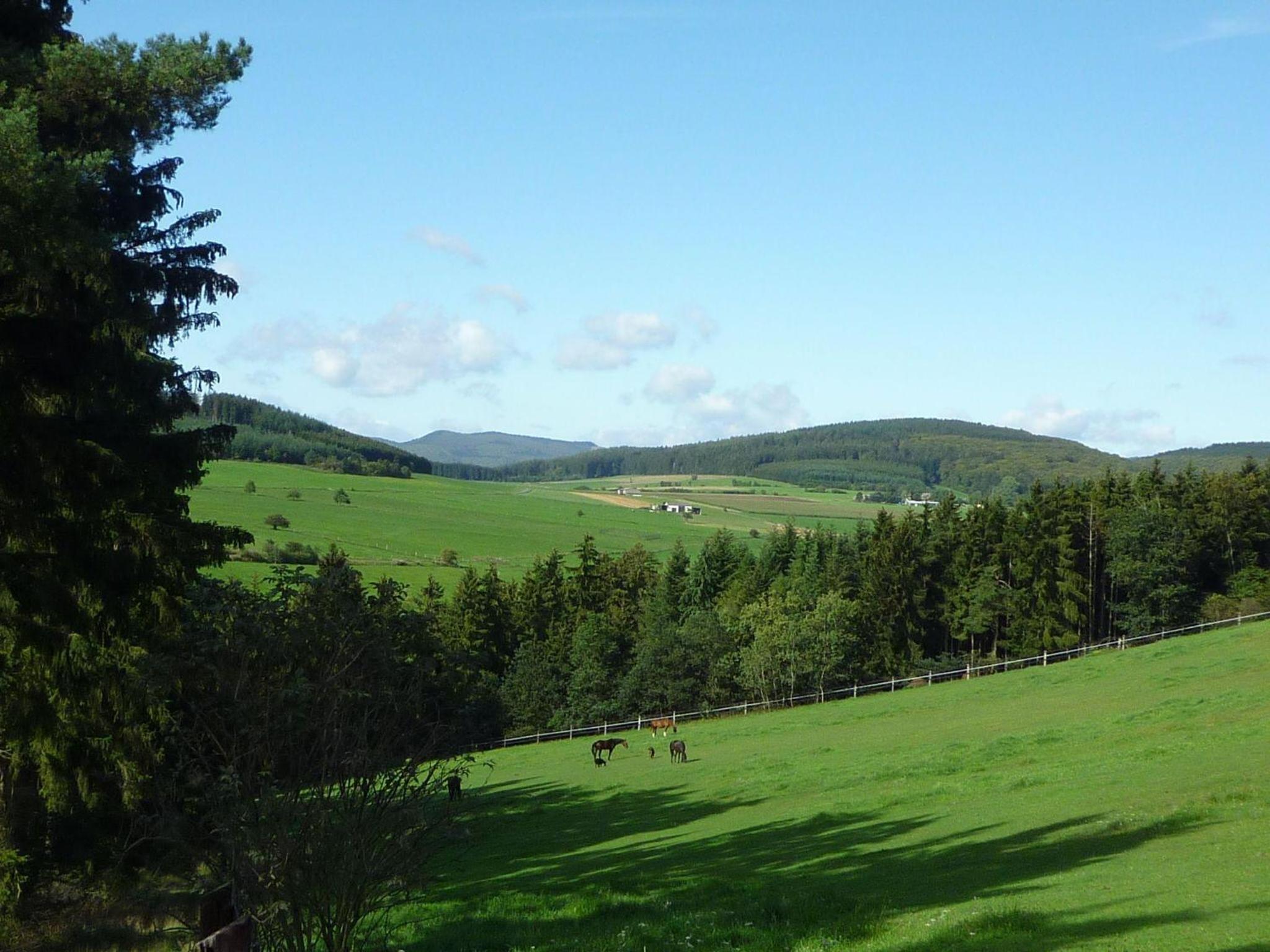 FeWo-Tannenhof