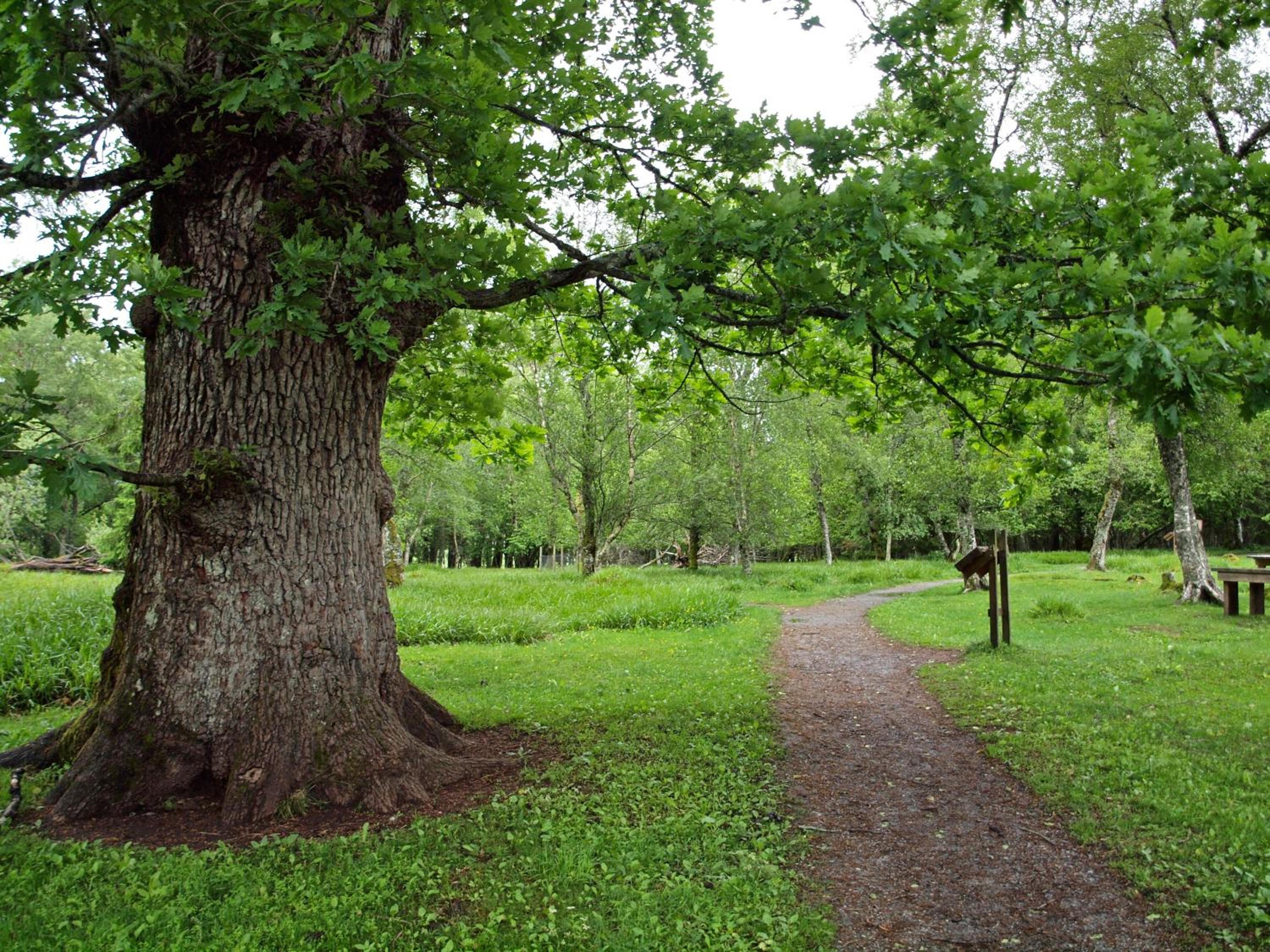 Kårstua - Austrått Agroturisme - Image 5