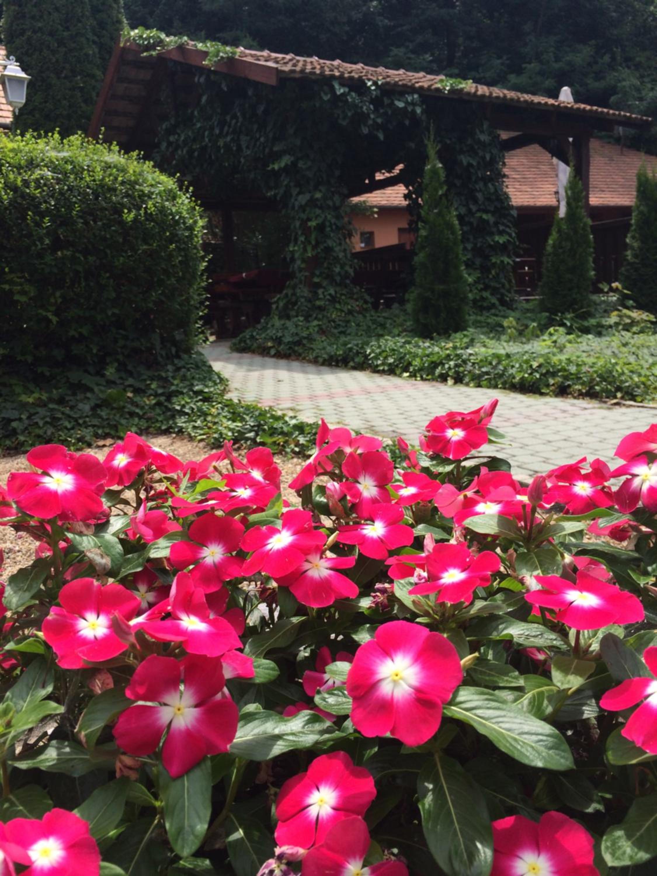 Photo 19