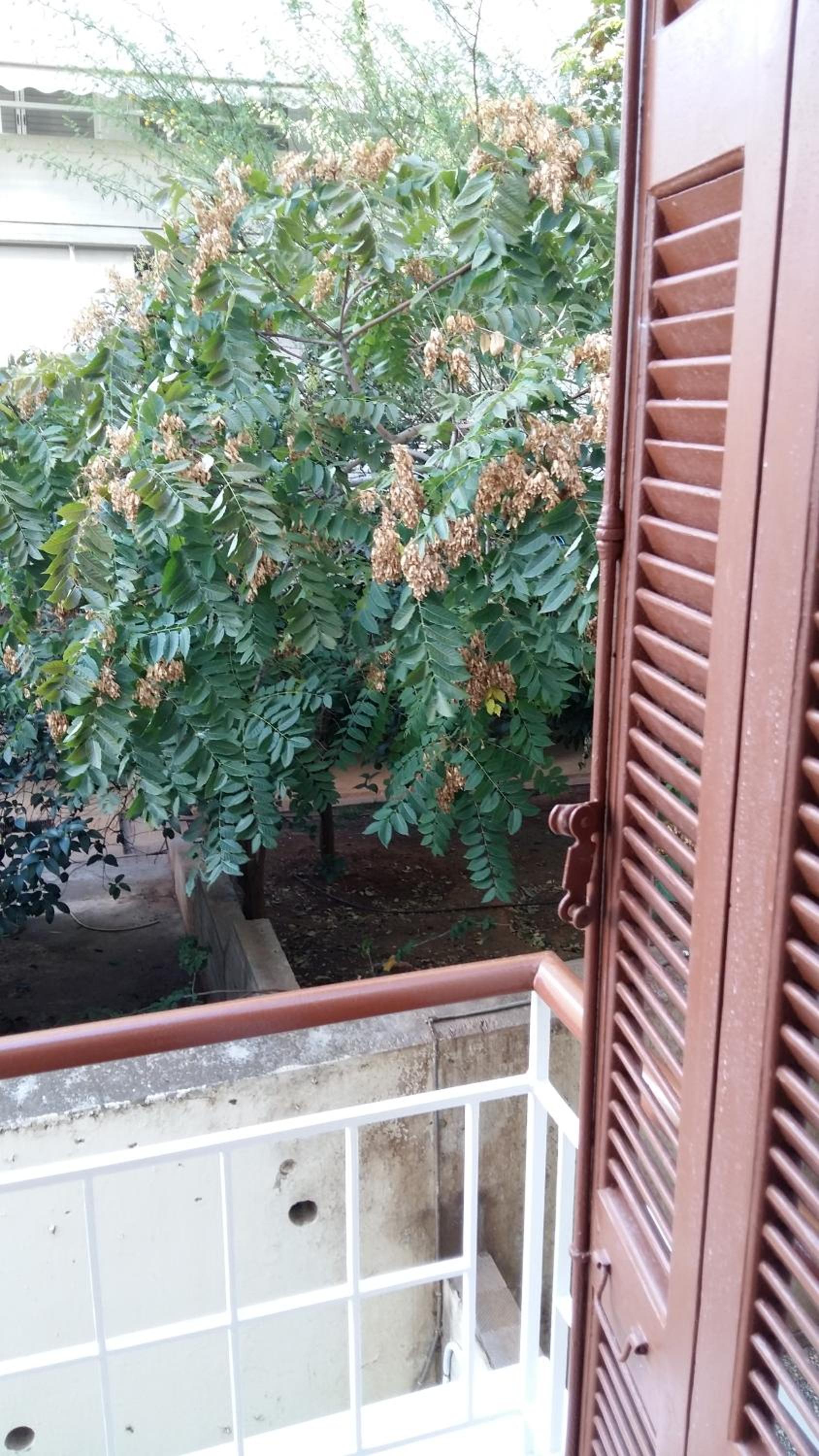 Apartment near sea Elpida's Edem