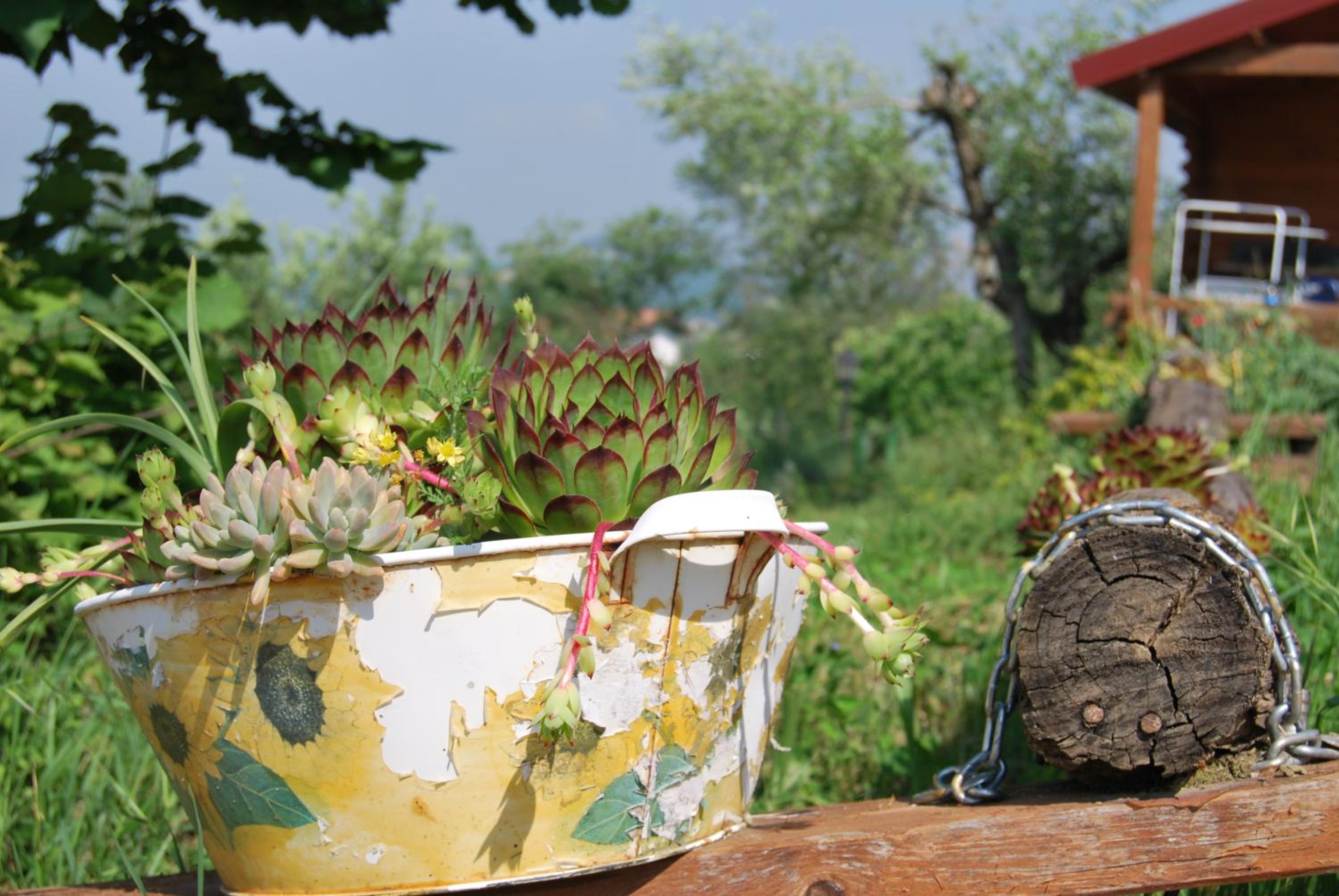 Agriturismo Cisogna