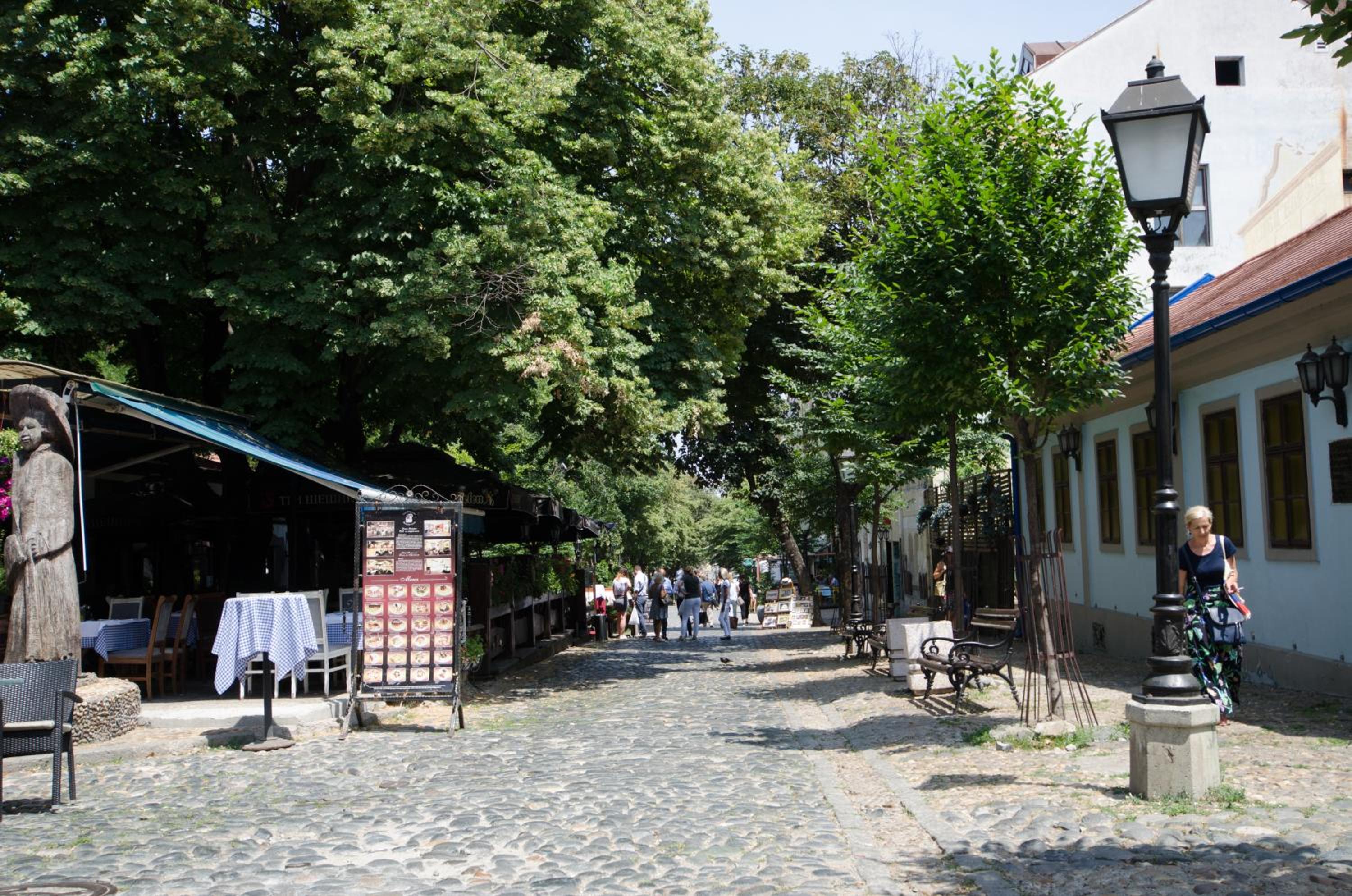 Photo 48