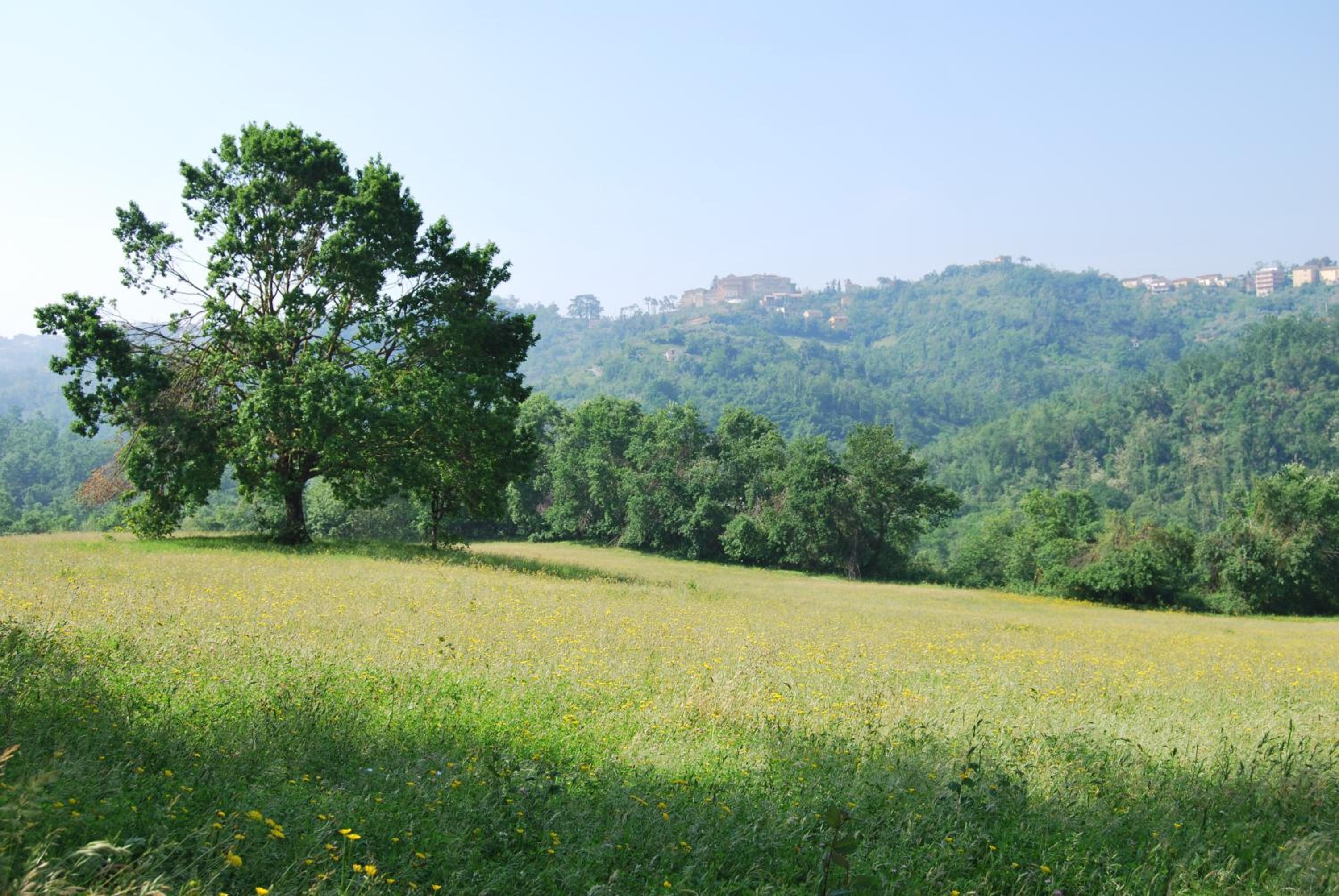 Agriturismo Cisogna