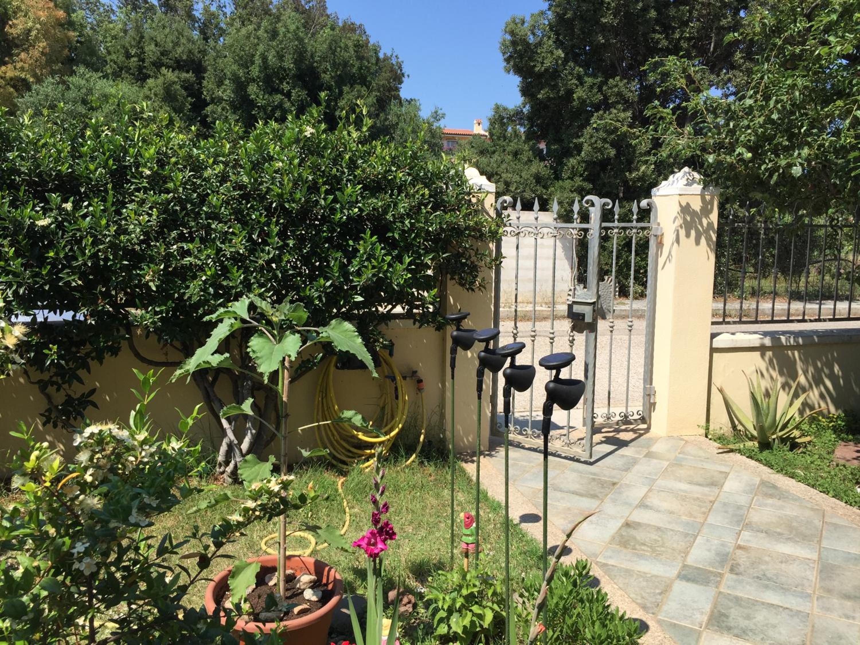 Photo 38