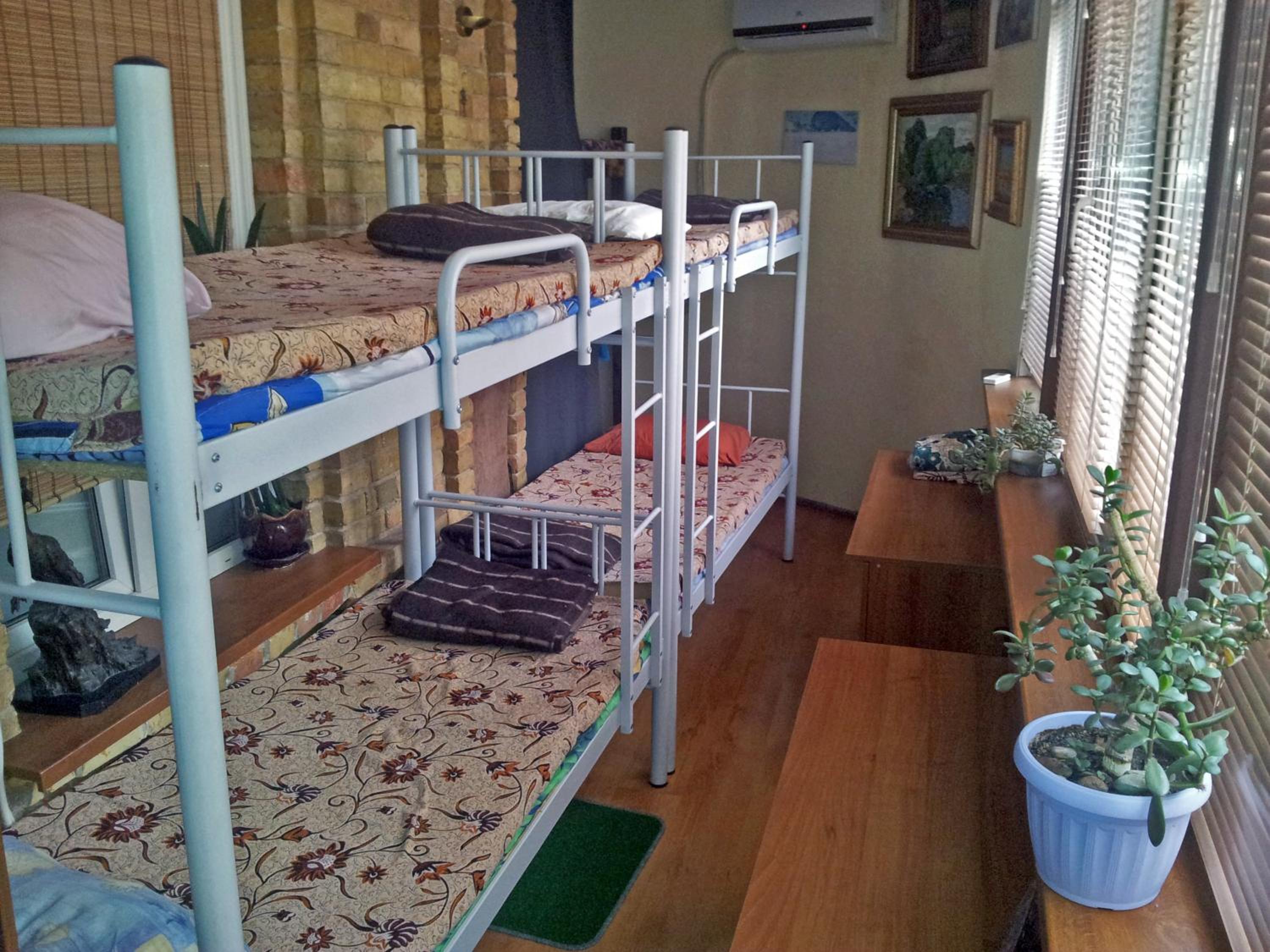Photo 7