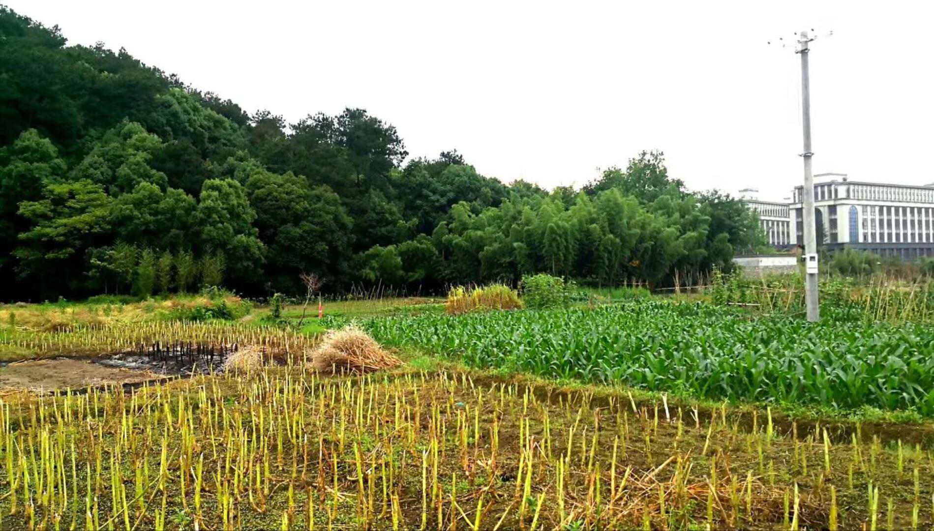 桐庐舍予民宿 Tonglu Sheyu Country House