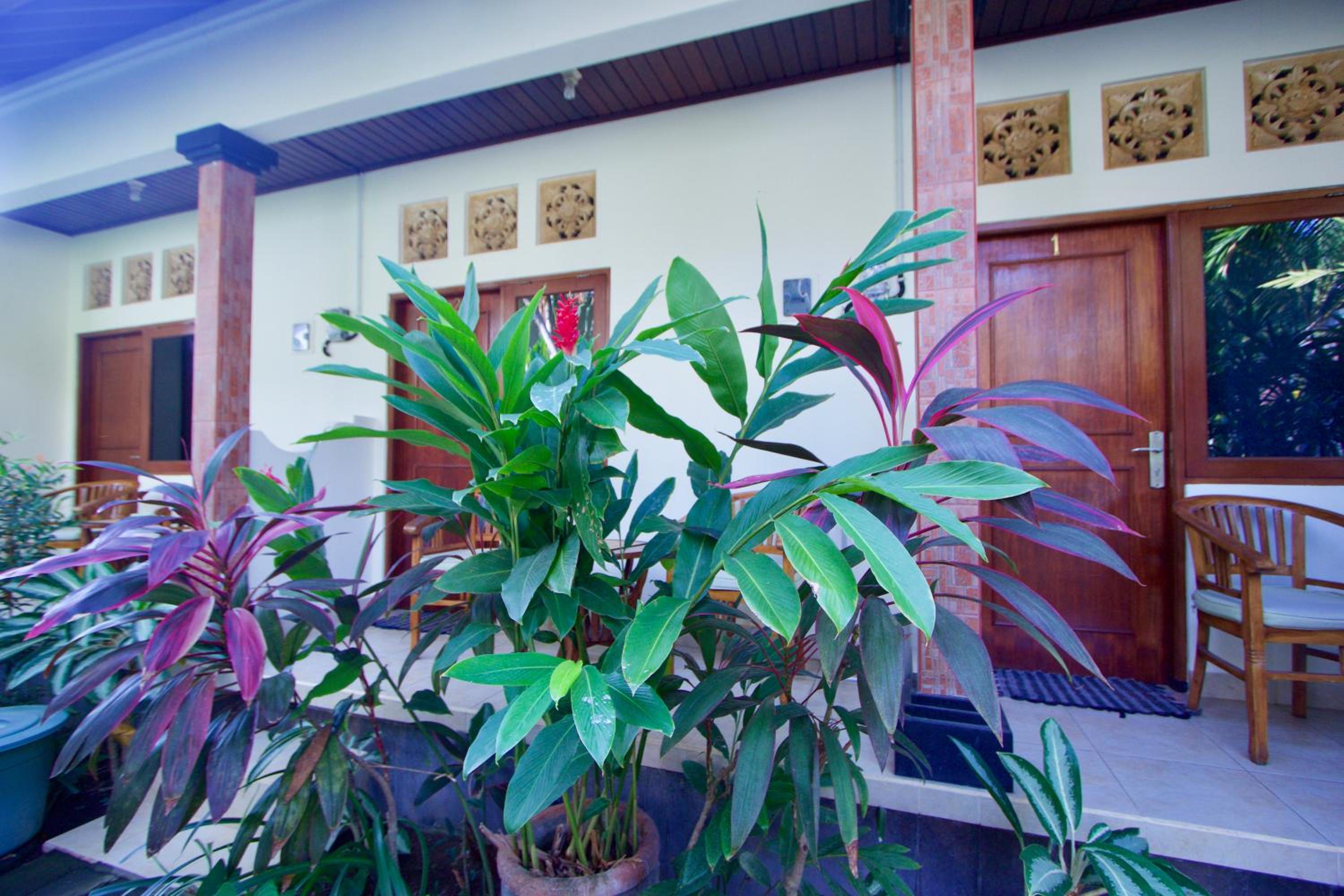 Jepun Bali Homestay Sanur view 2