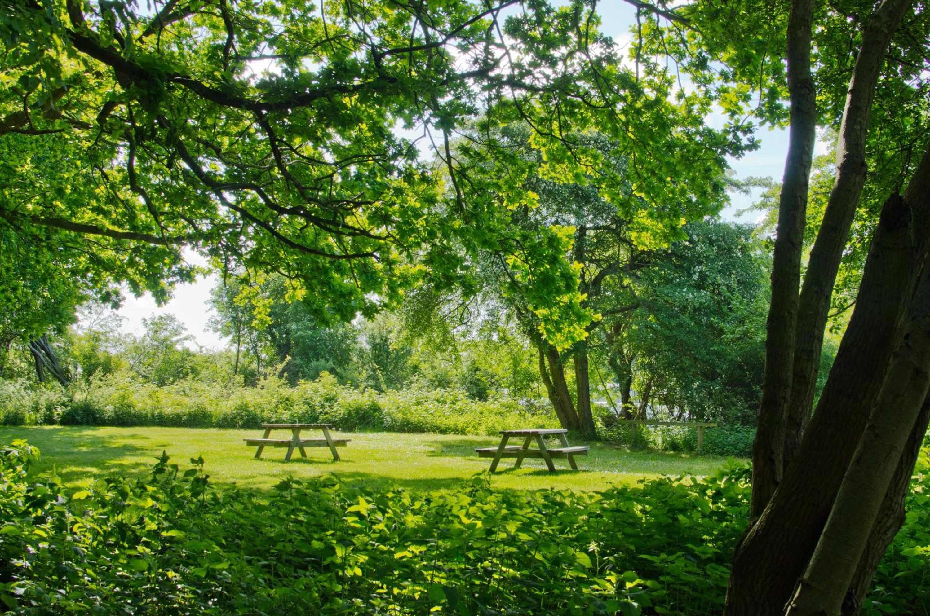 Husodde Strand Camping & Cottages