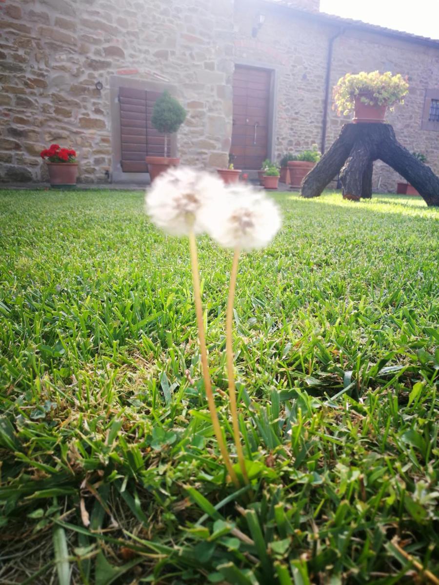Photo 34