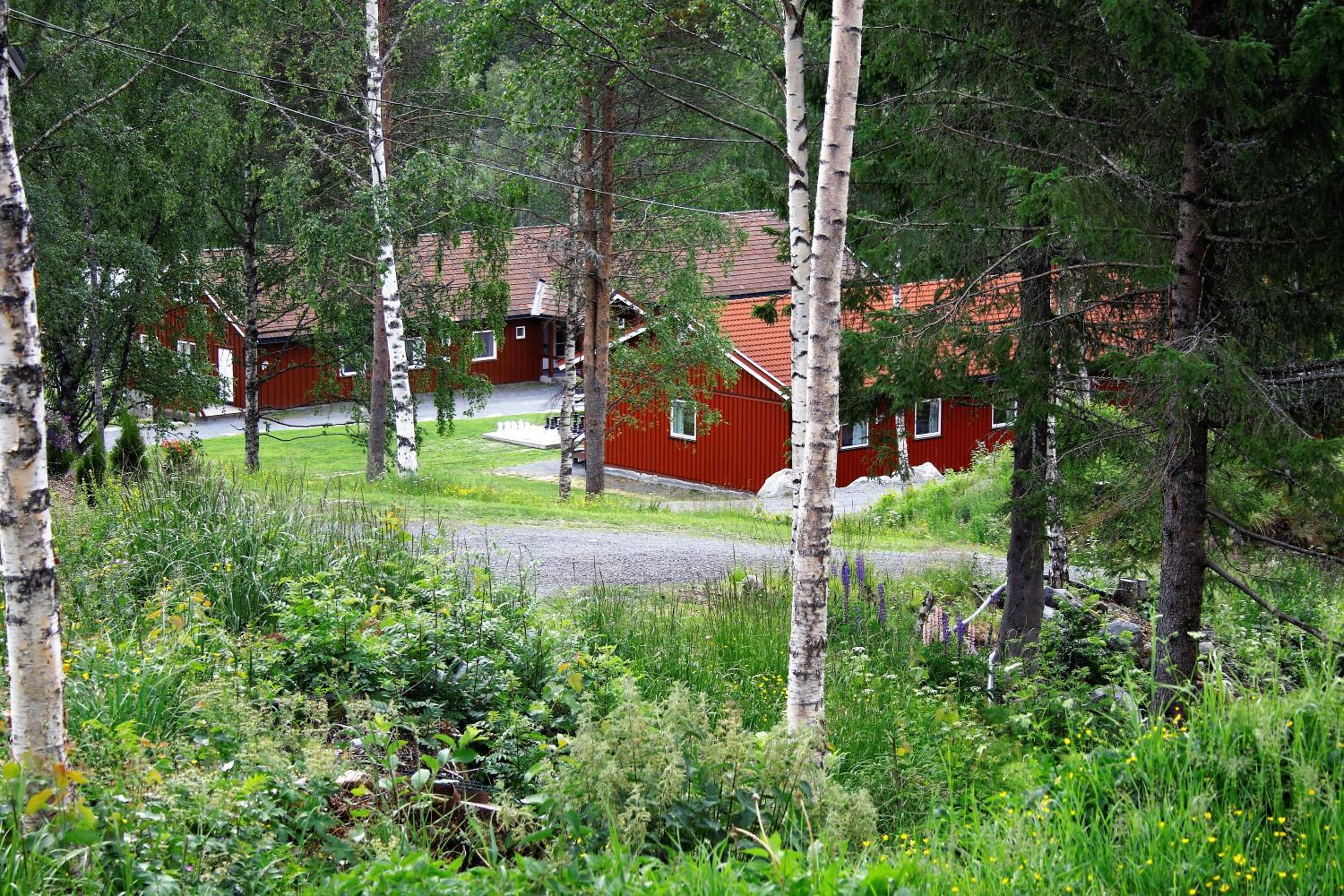 Photo 100
