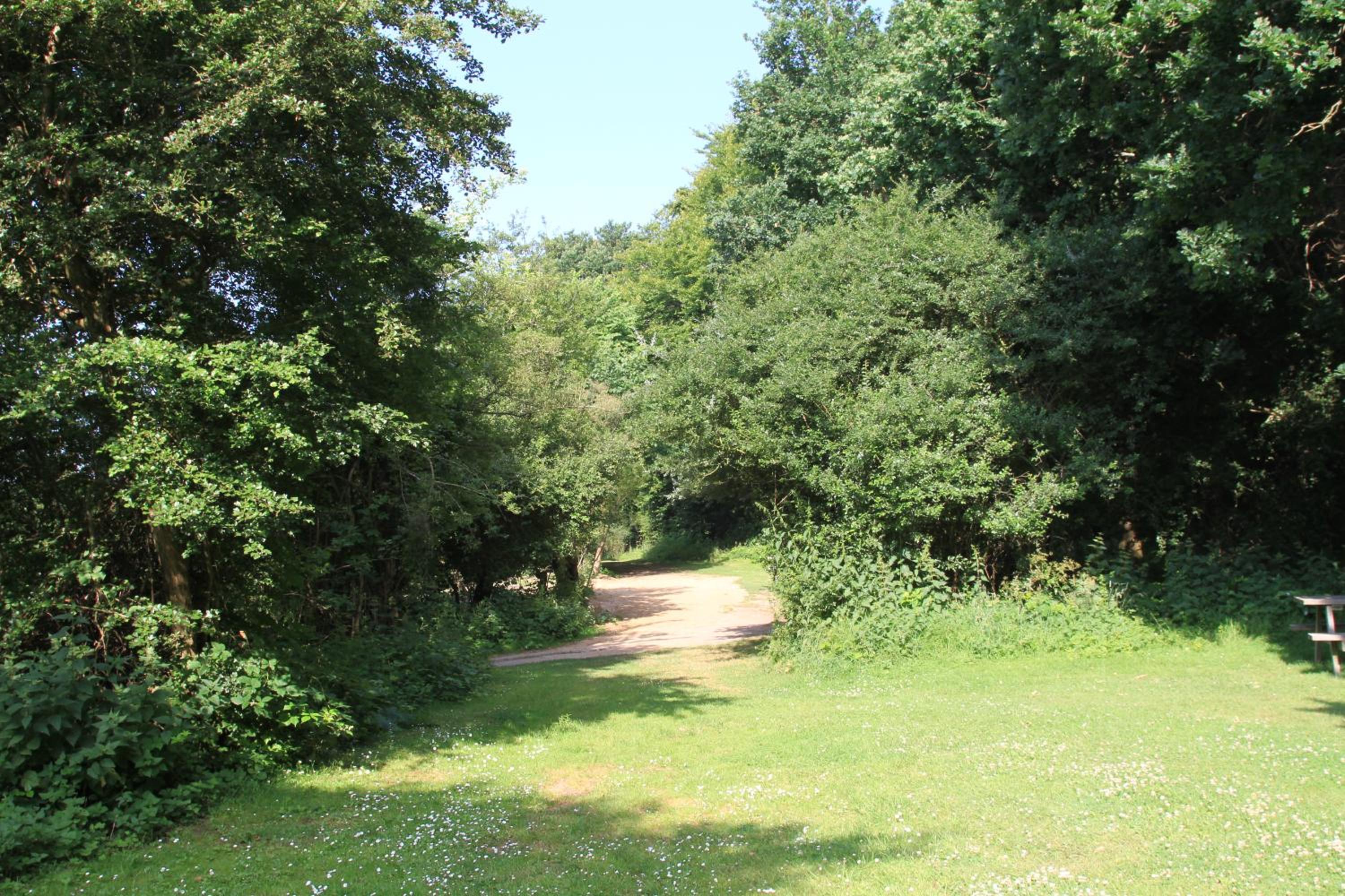 Husodde Strand Camping & Cottages