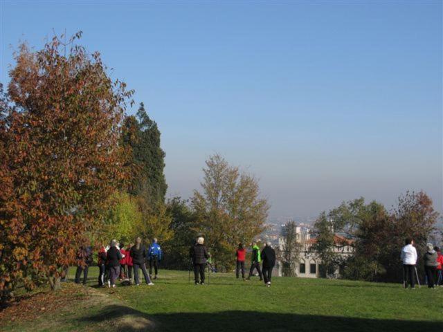 Photo 39