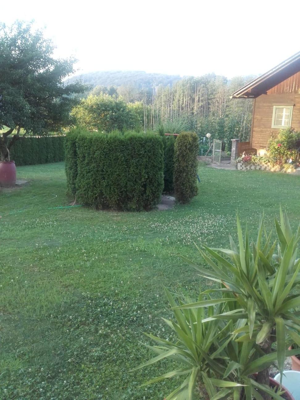 Photo 28