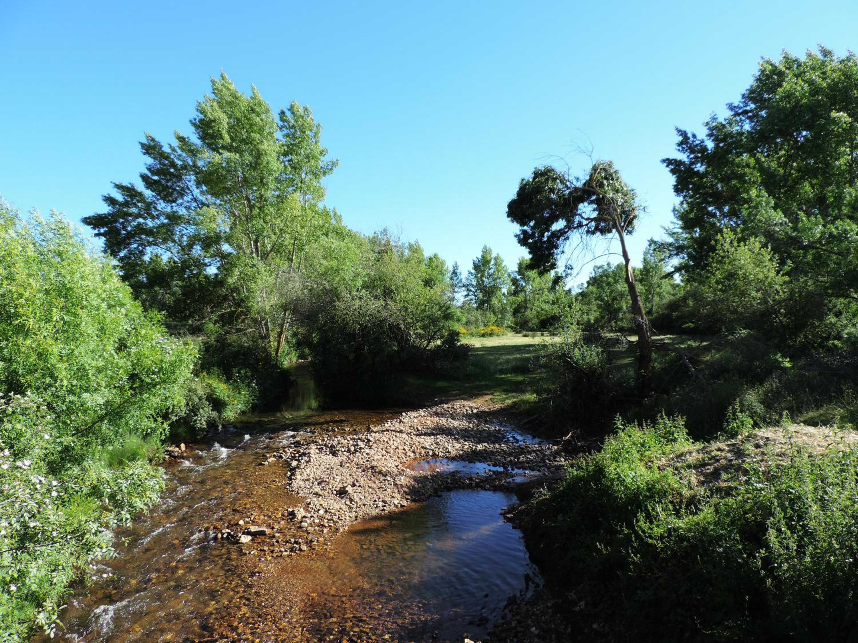Photo 47