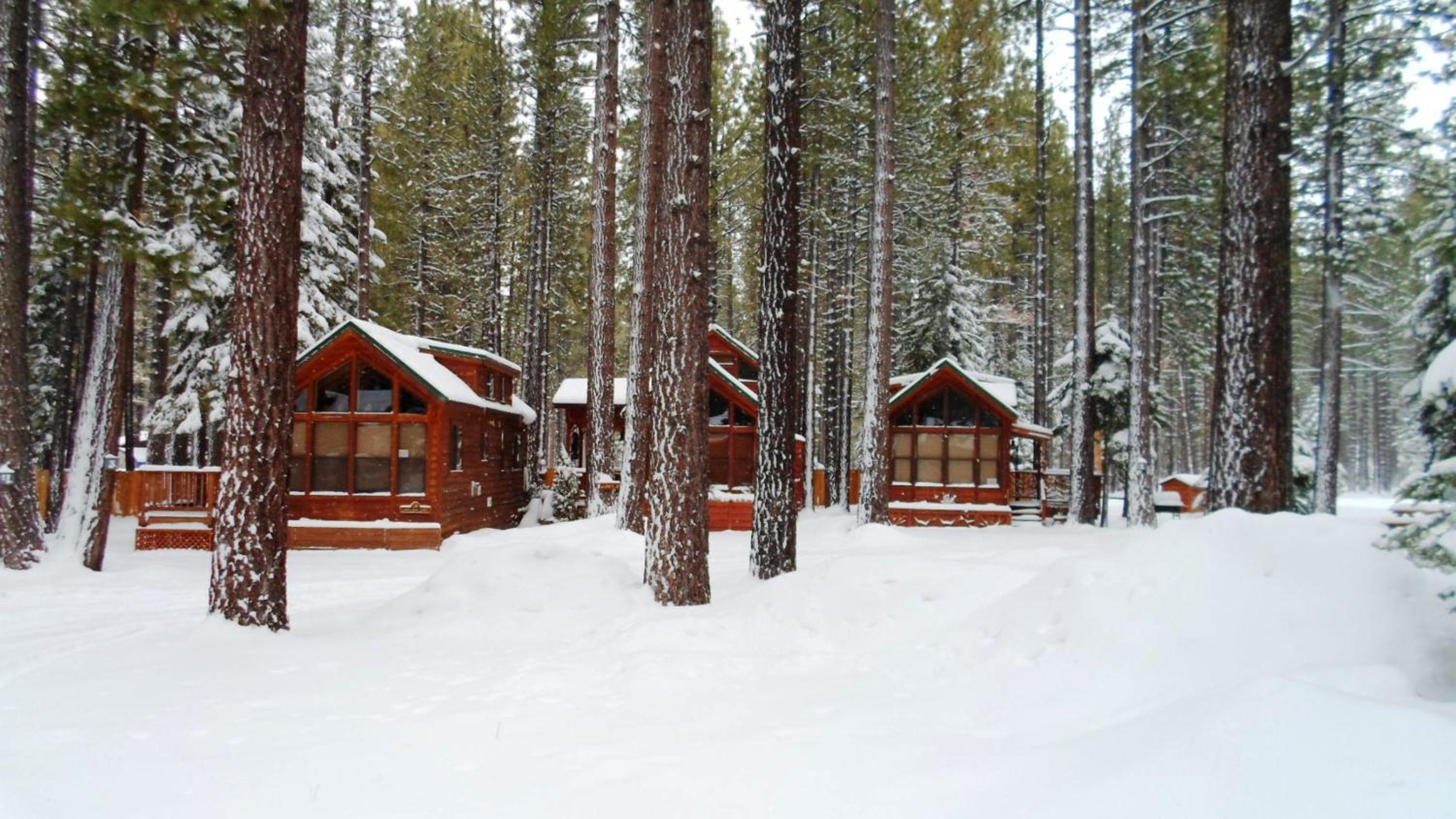 Lake Tahoe Vacations - Cedar Pines Resort - Property Image 21