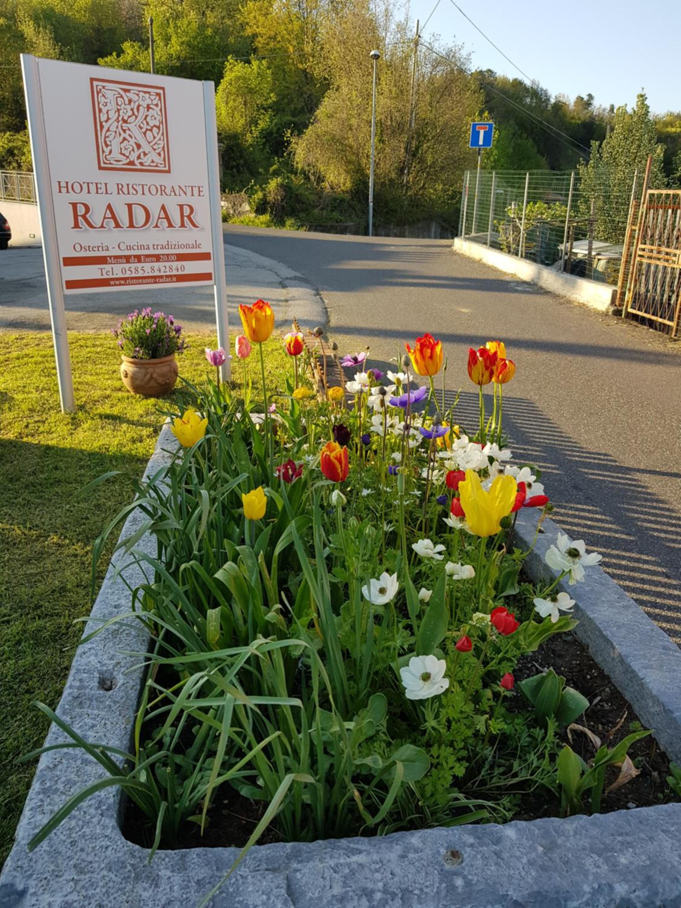 garden