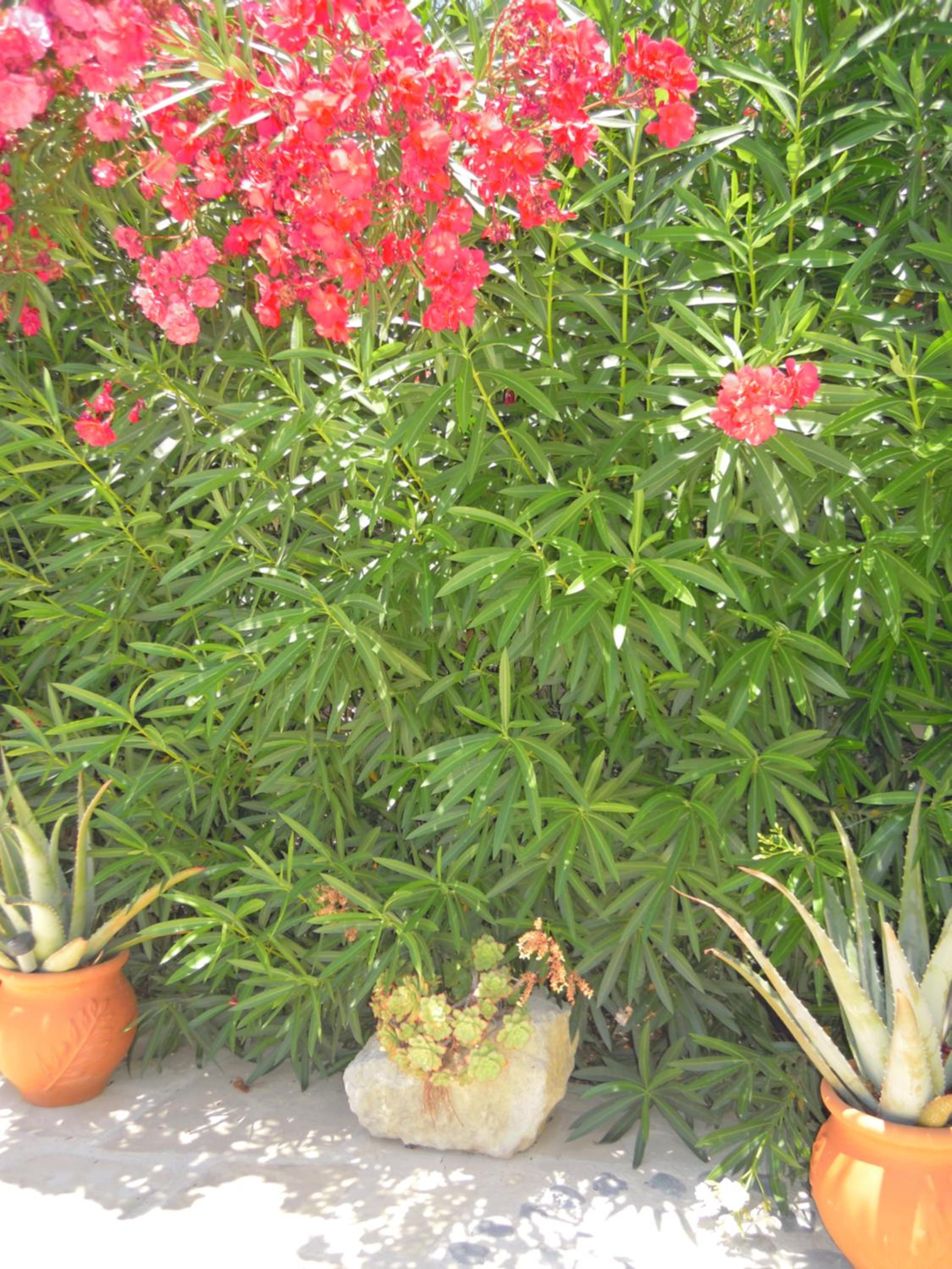 Photo 40