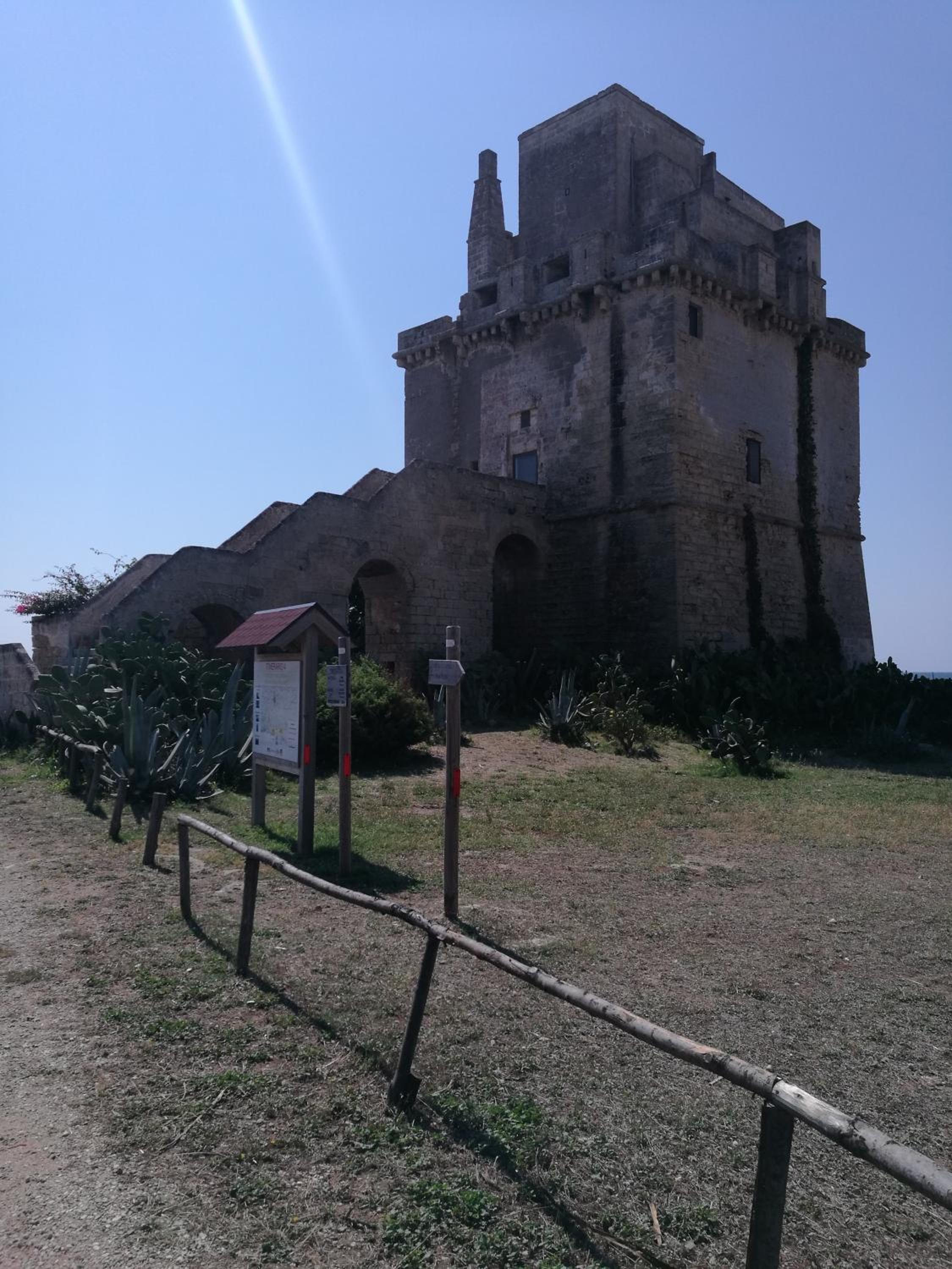Photo 45
