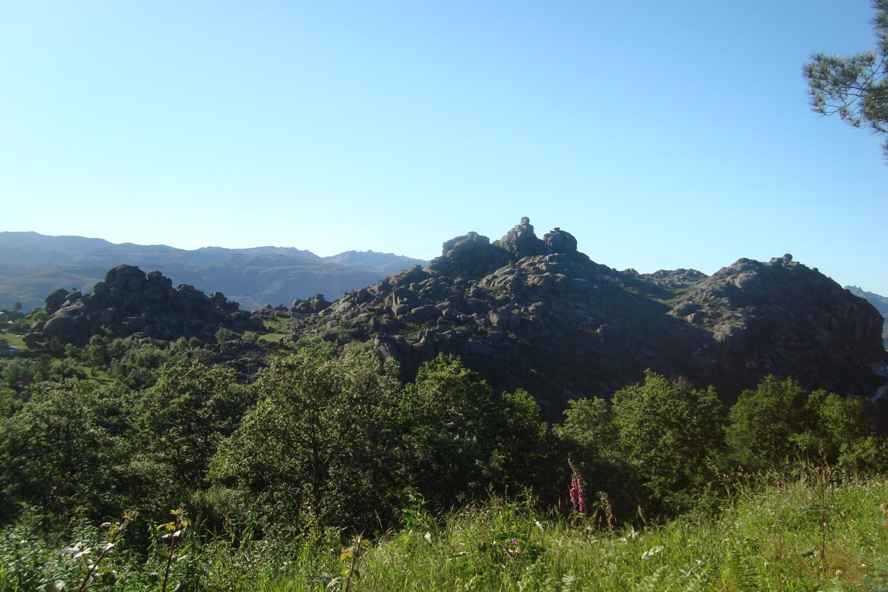 Photo 39