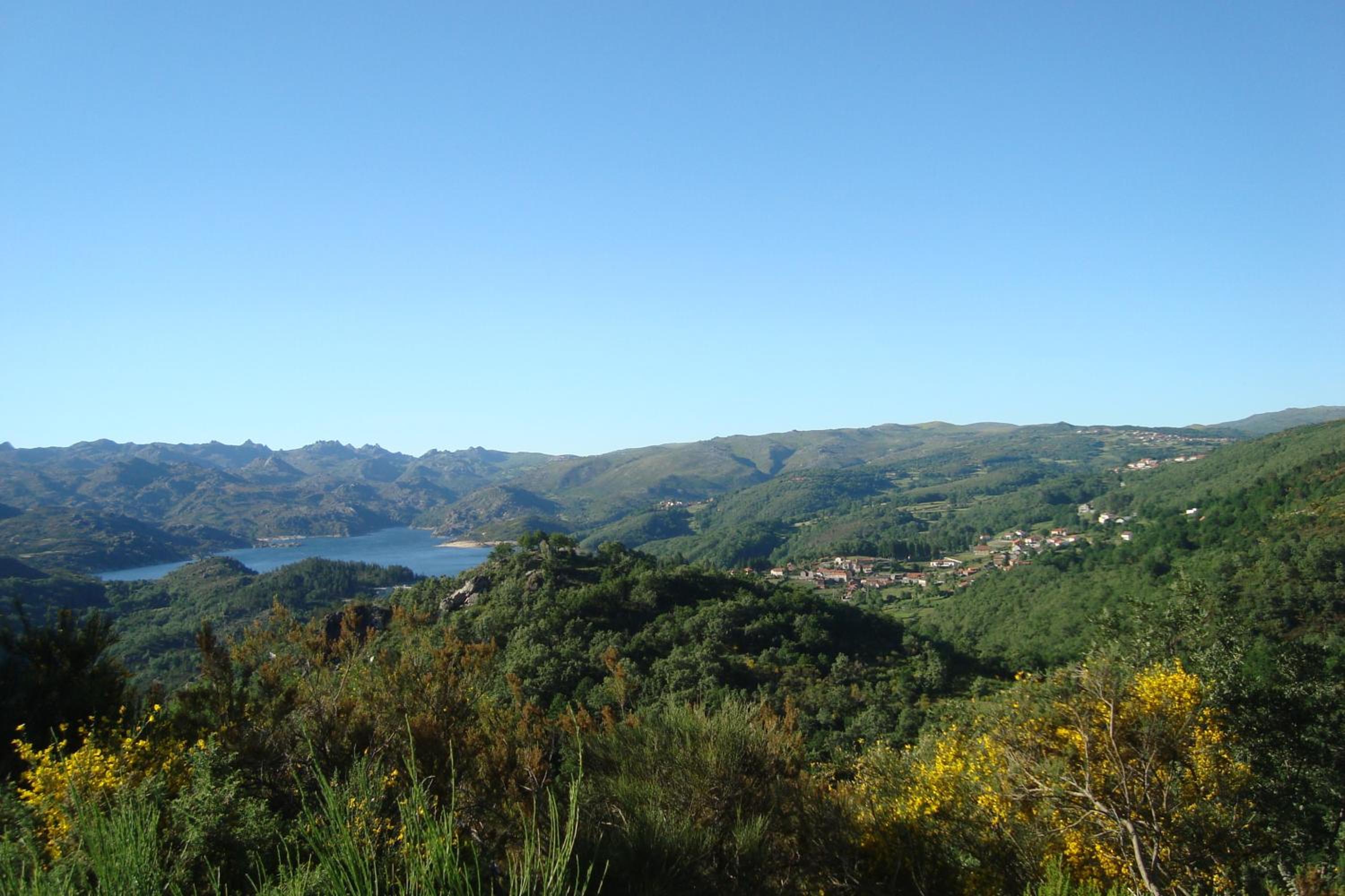 Photo 40