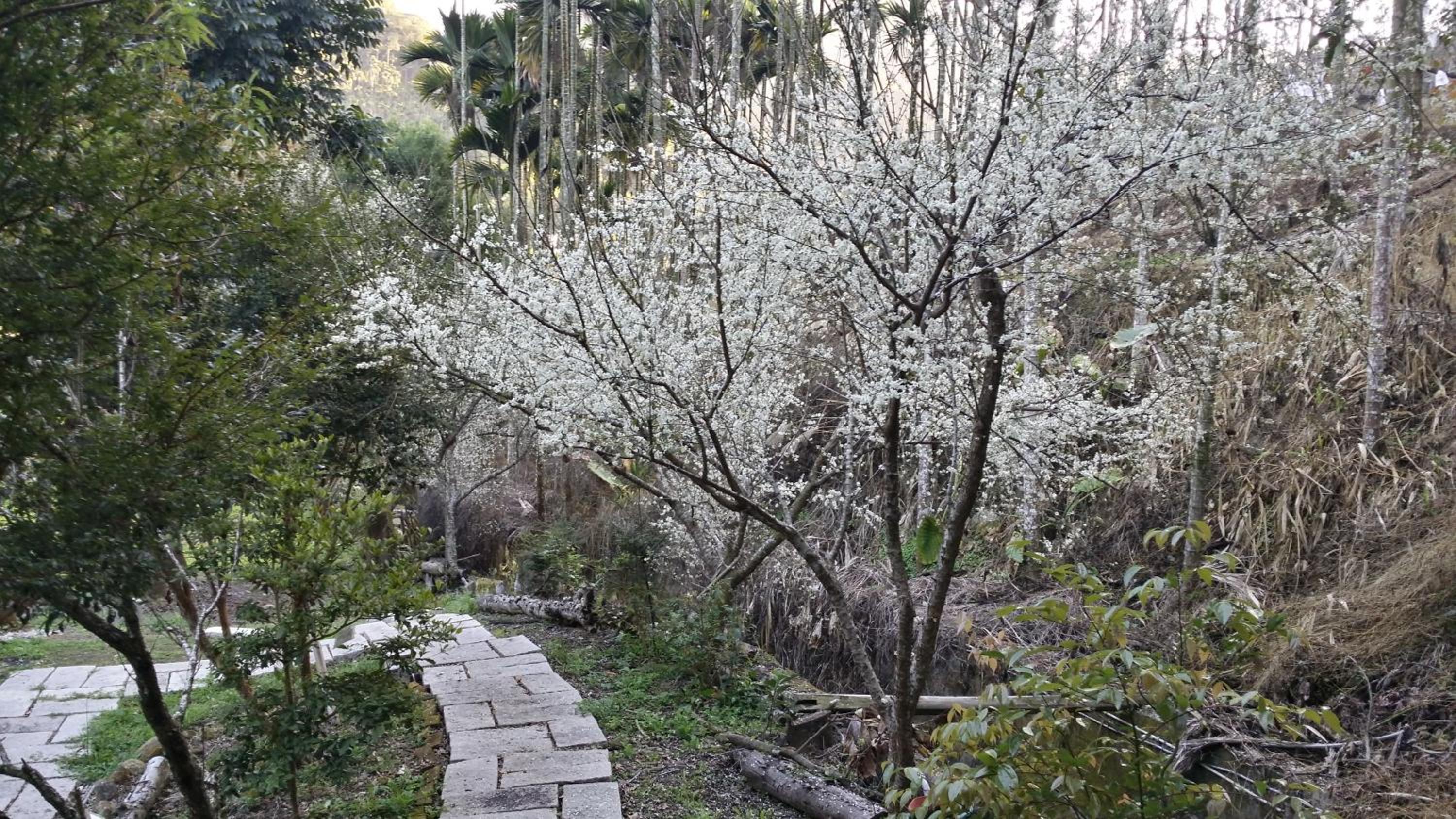 Bright Moon Homestay view 3