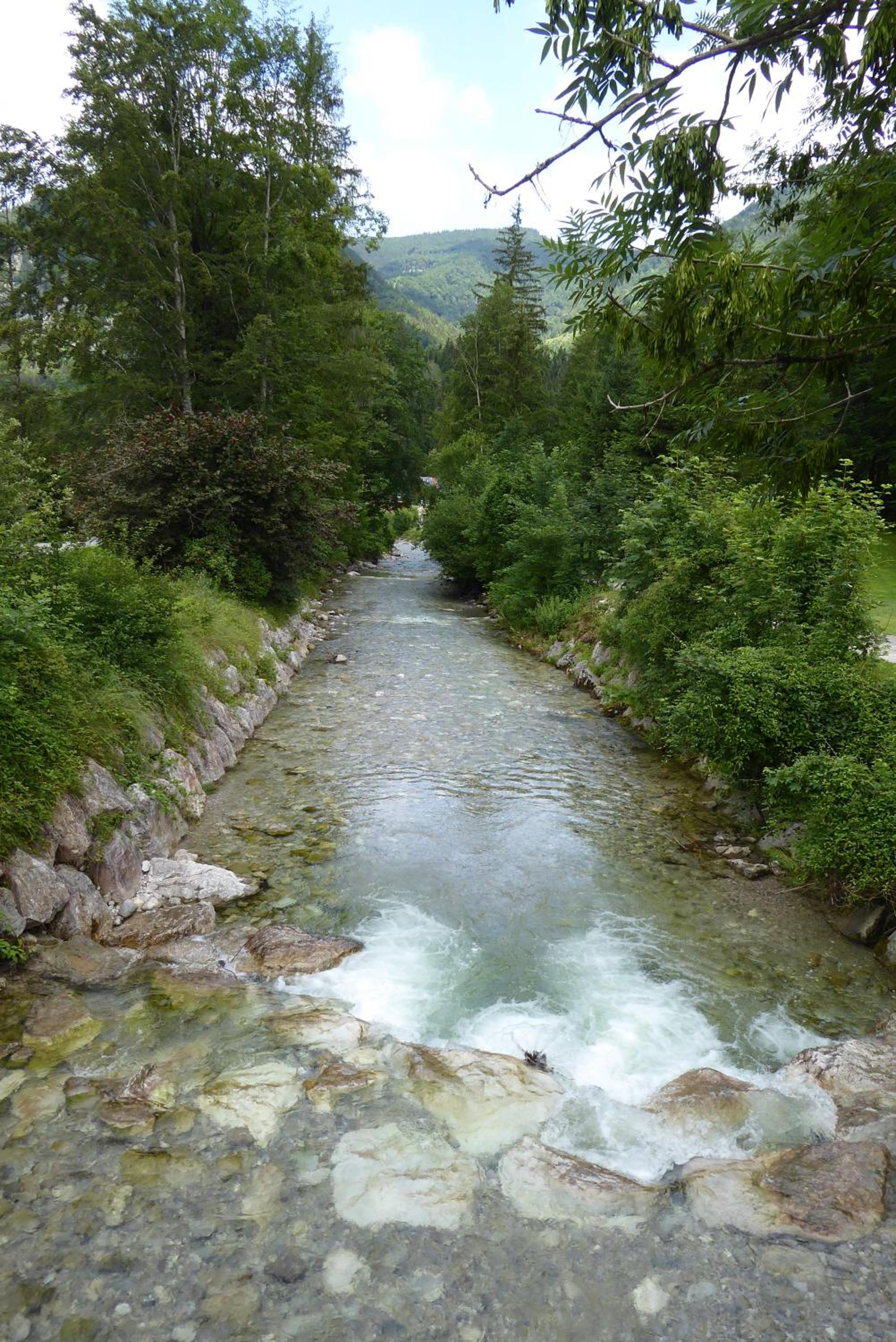 Photo 21
