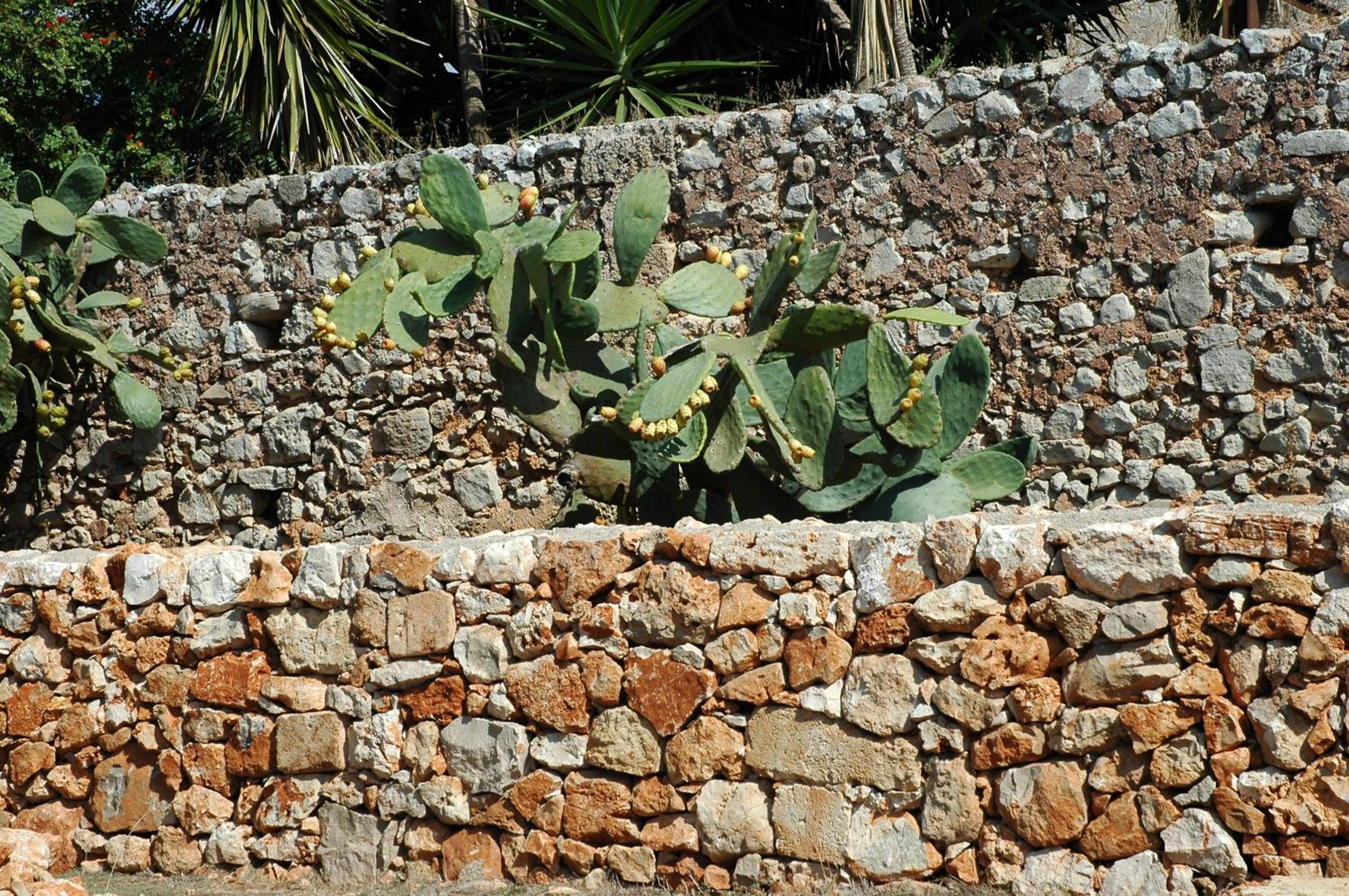 Agriturismo Masseria Gianferrante