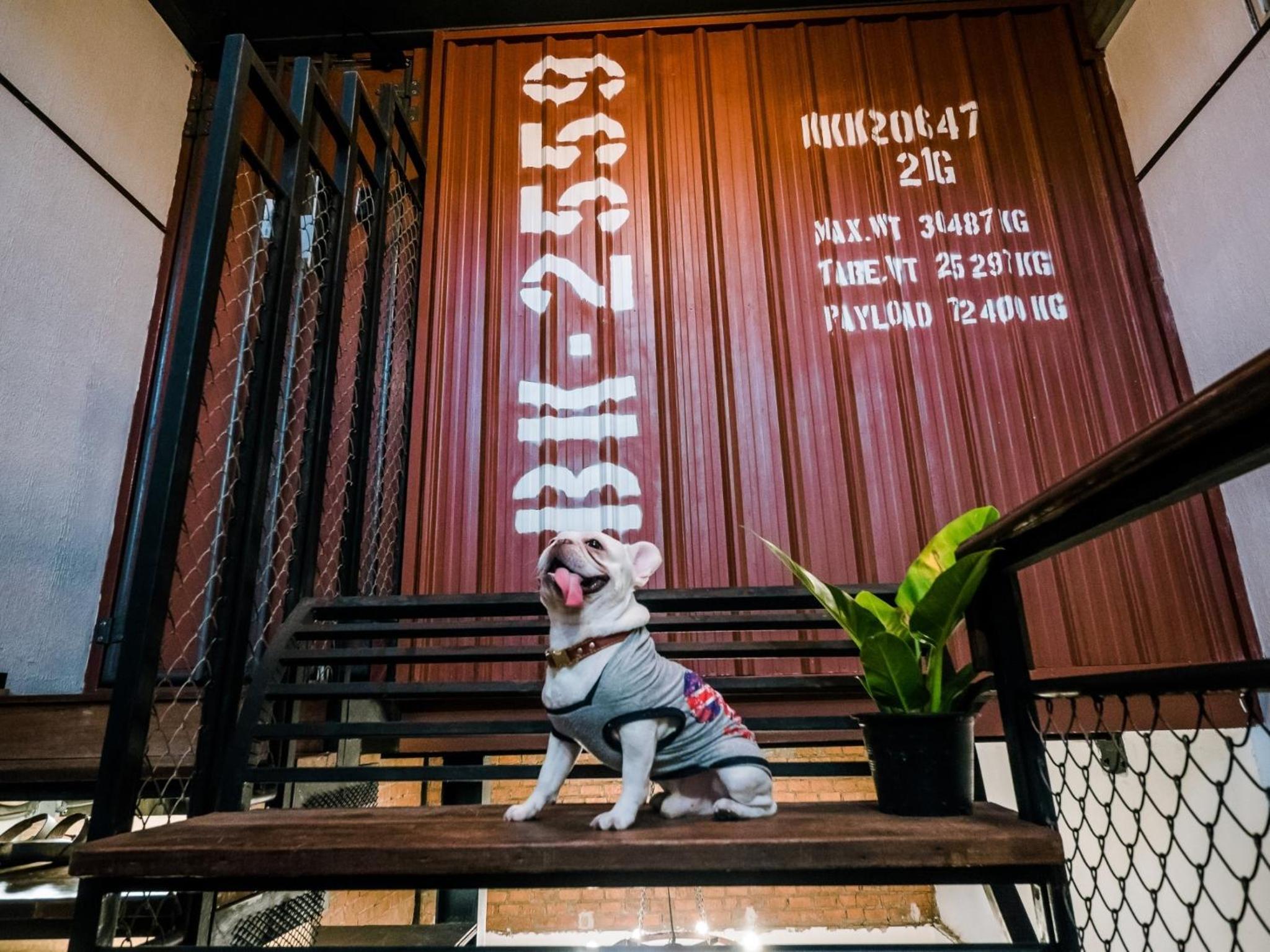 Zeds Hostel Bangkok