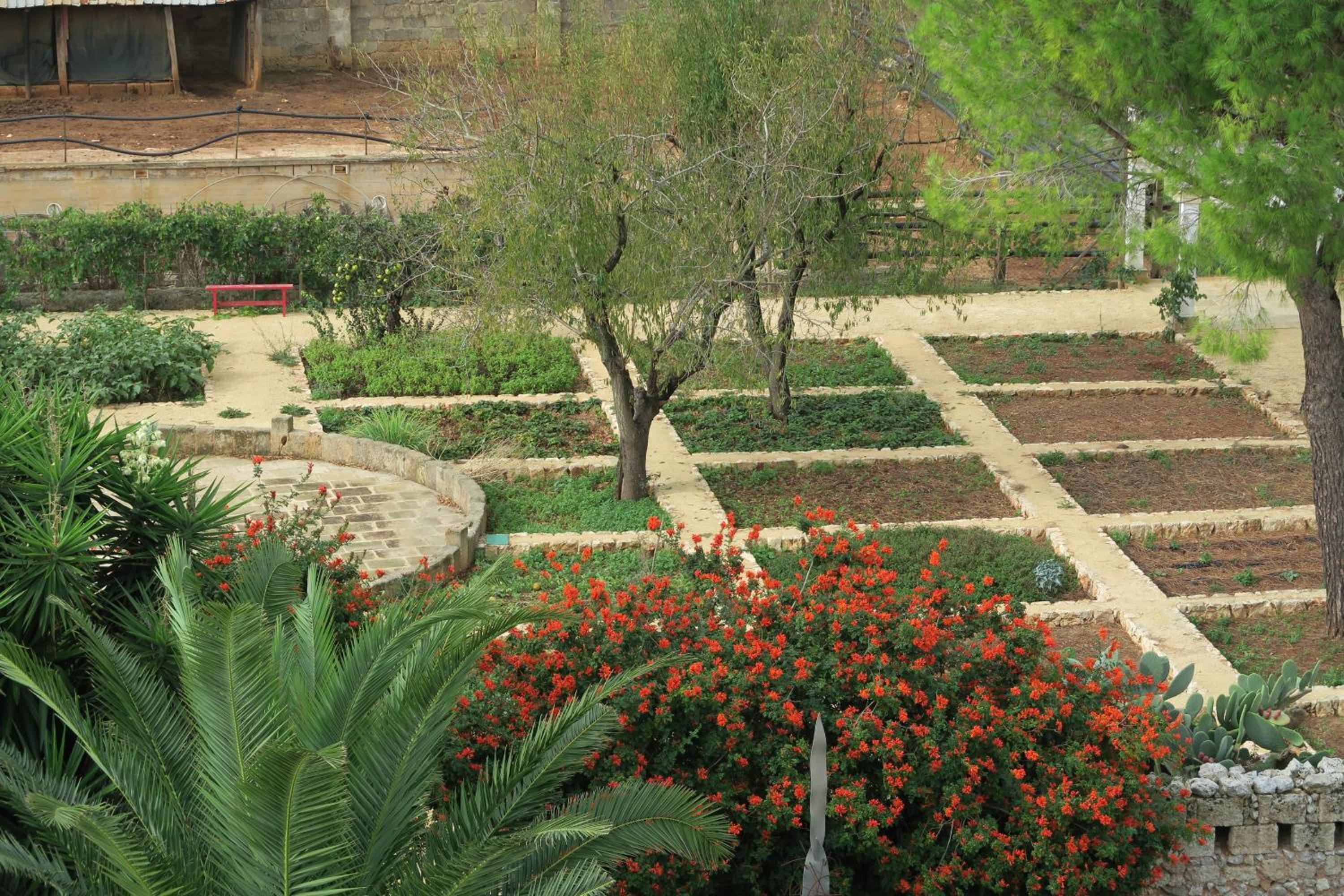 Agriturismo Masseria Gianferrante