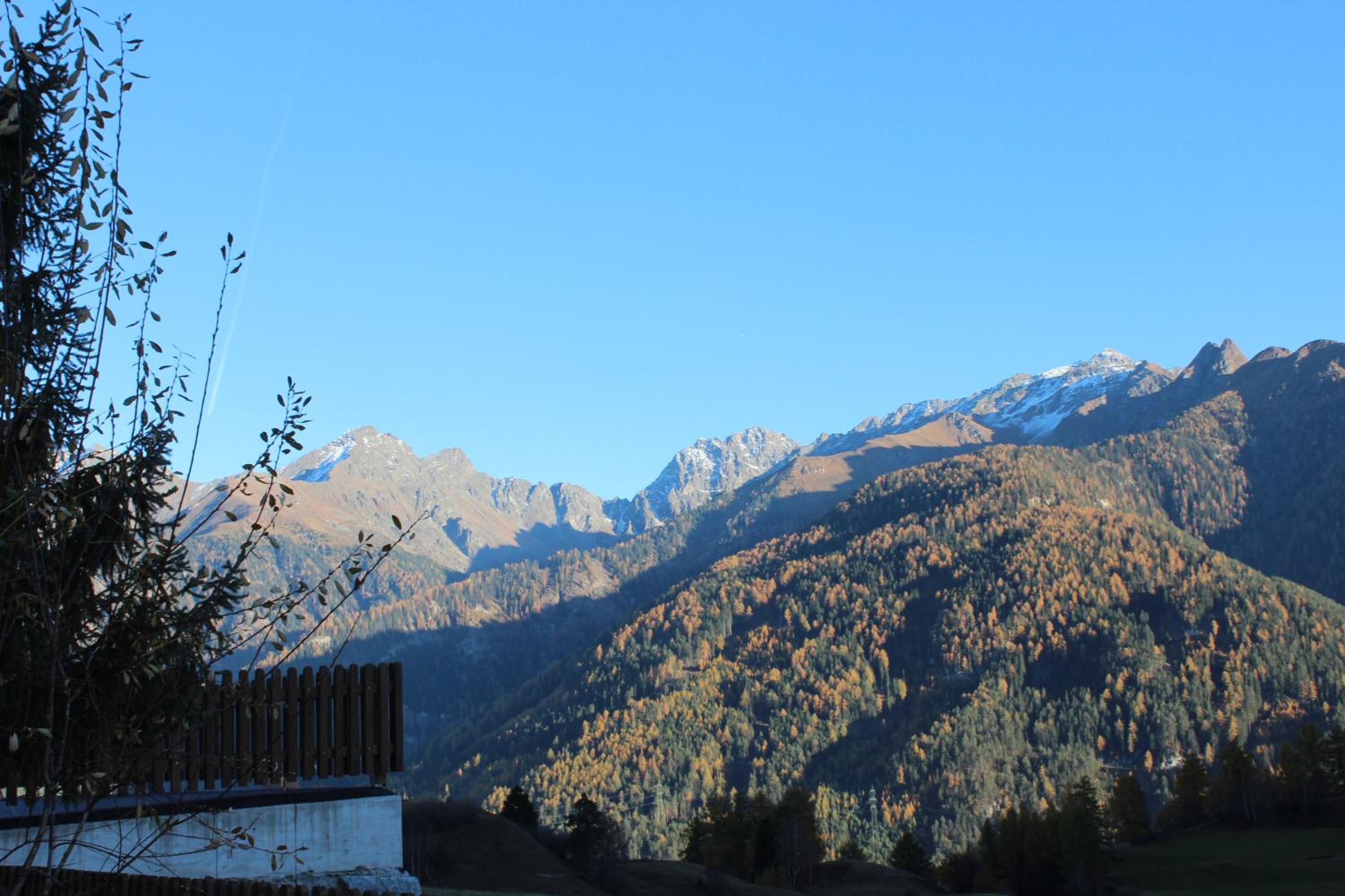 Haus Brigitte