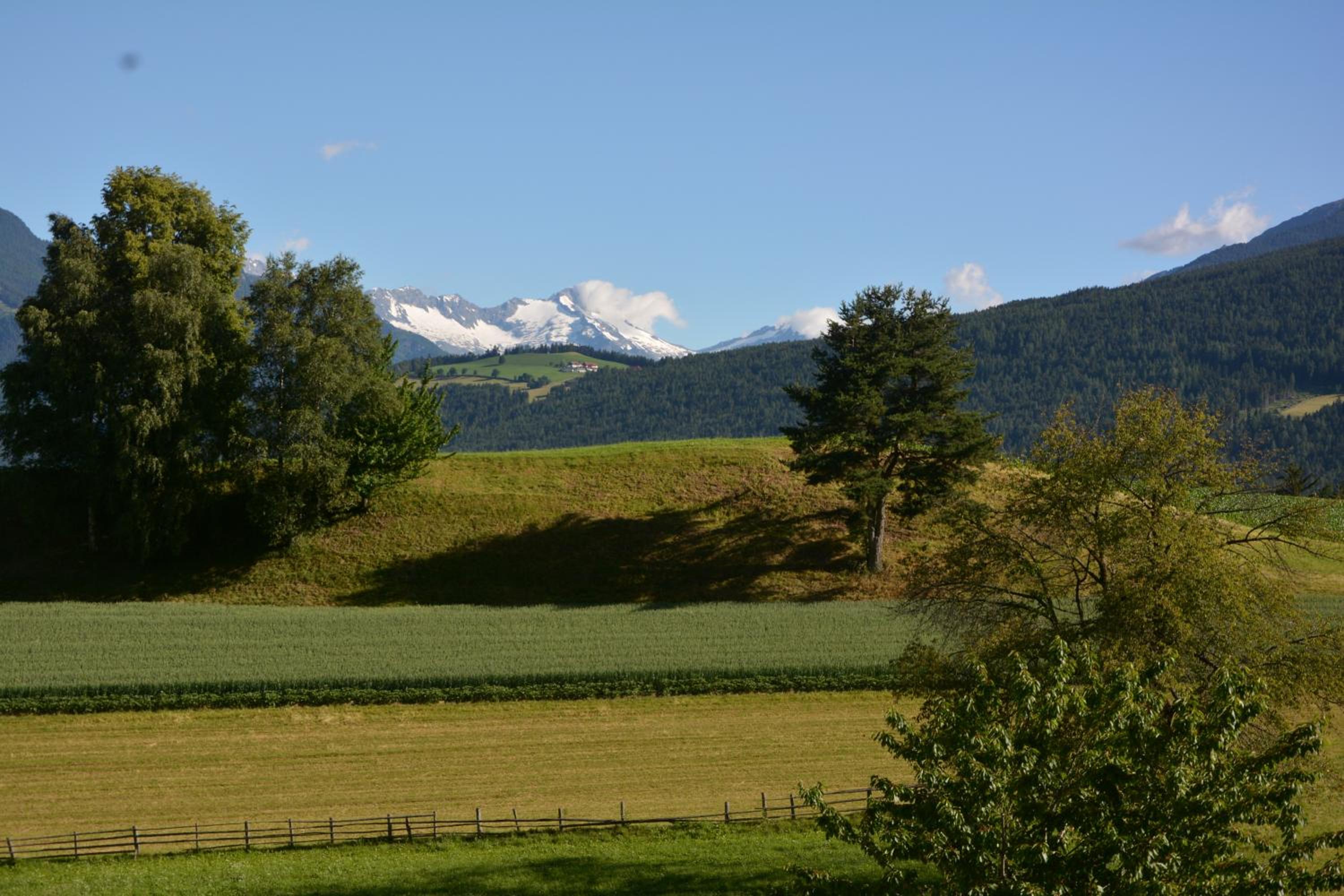 Photo 42