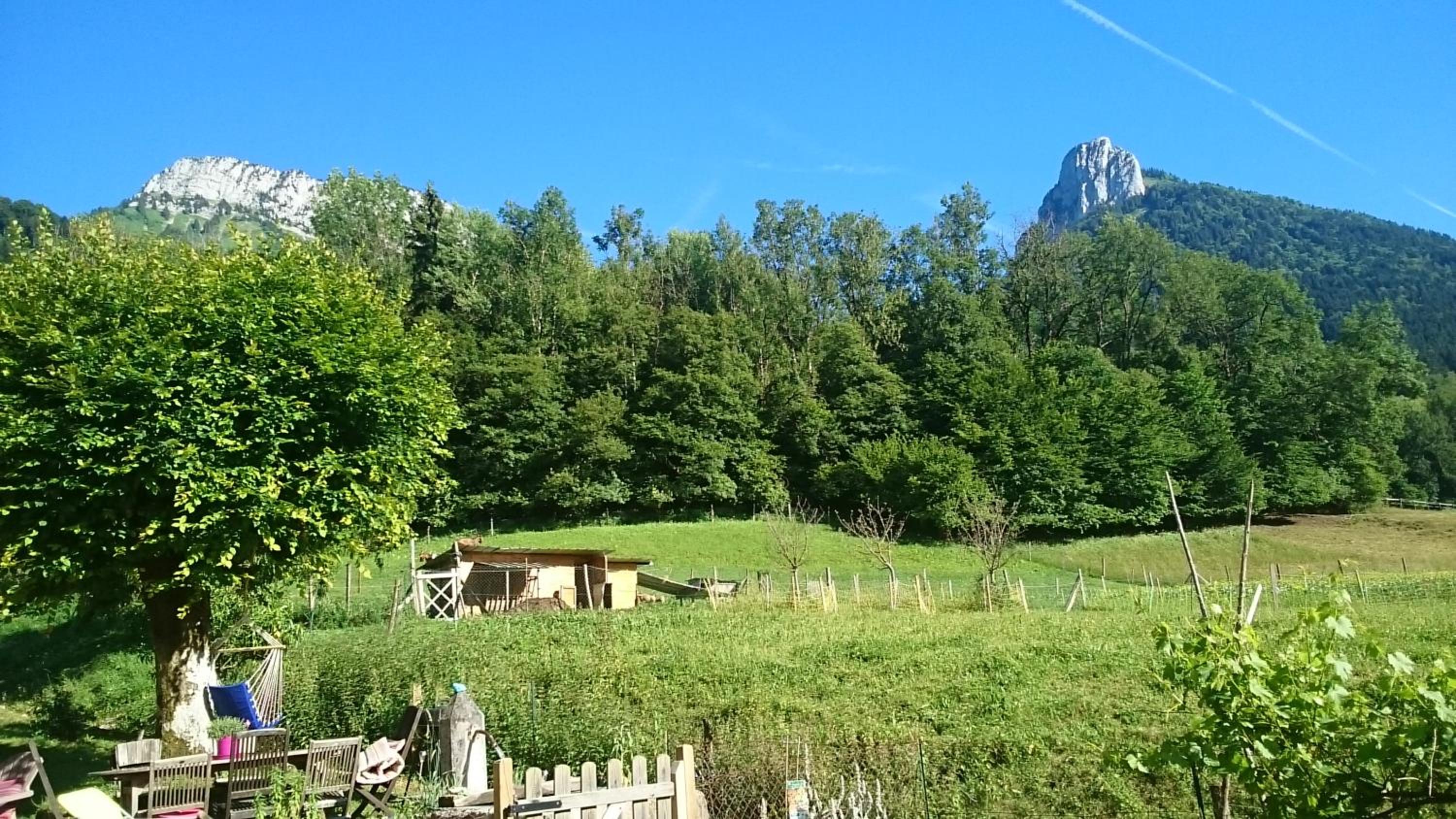 Photo 30