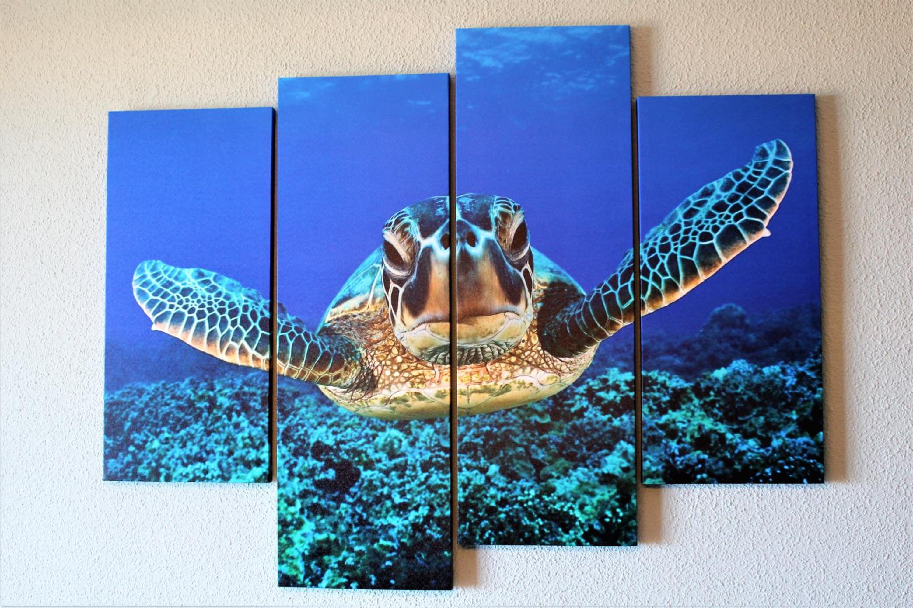 Tortuga Flat view 4