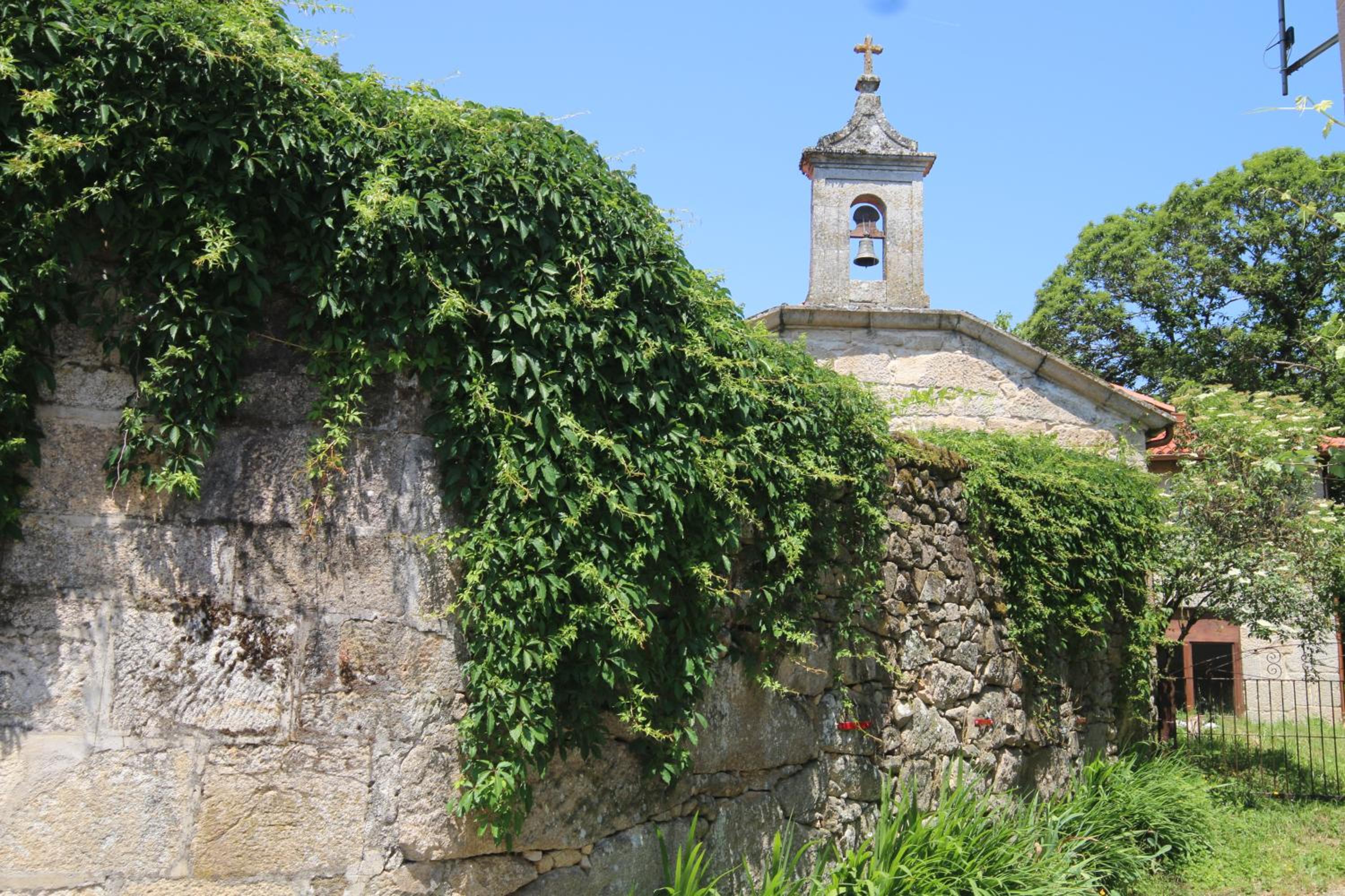 Photo 41