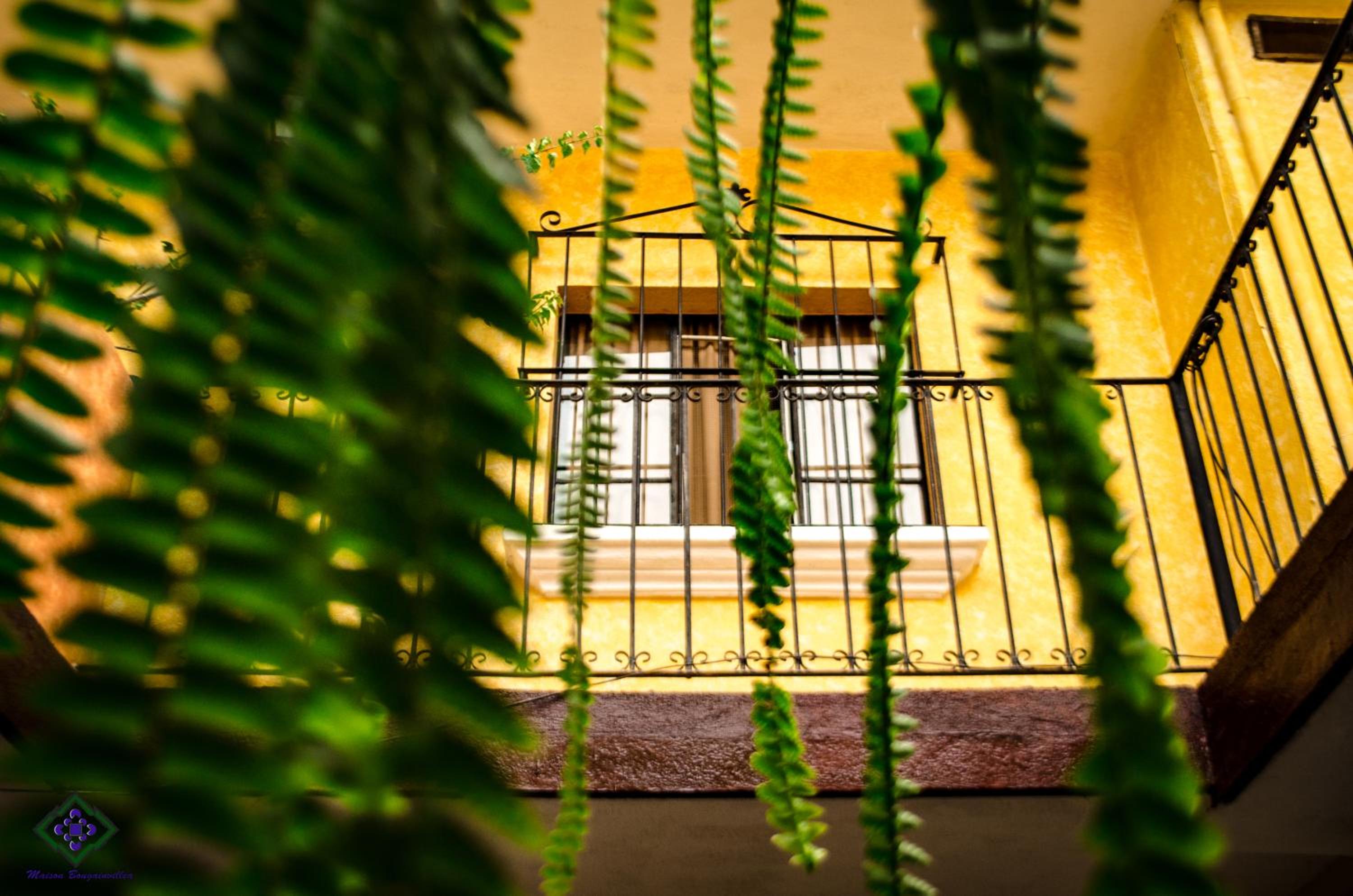Maison Bougainvillea