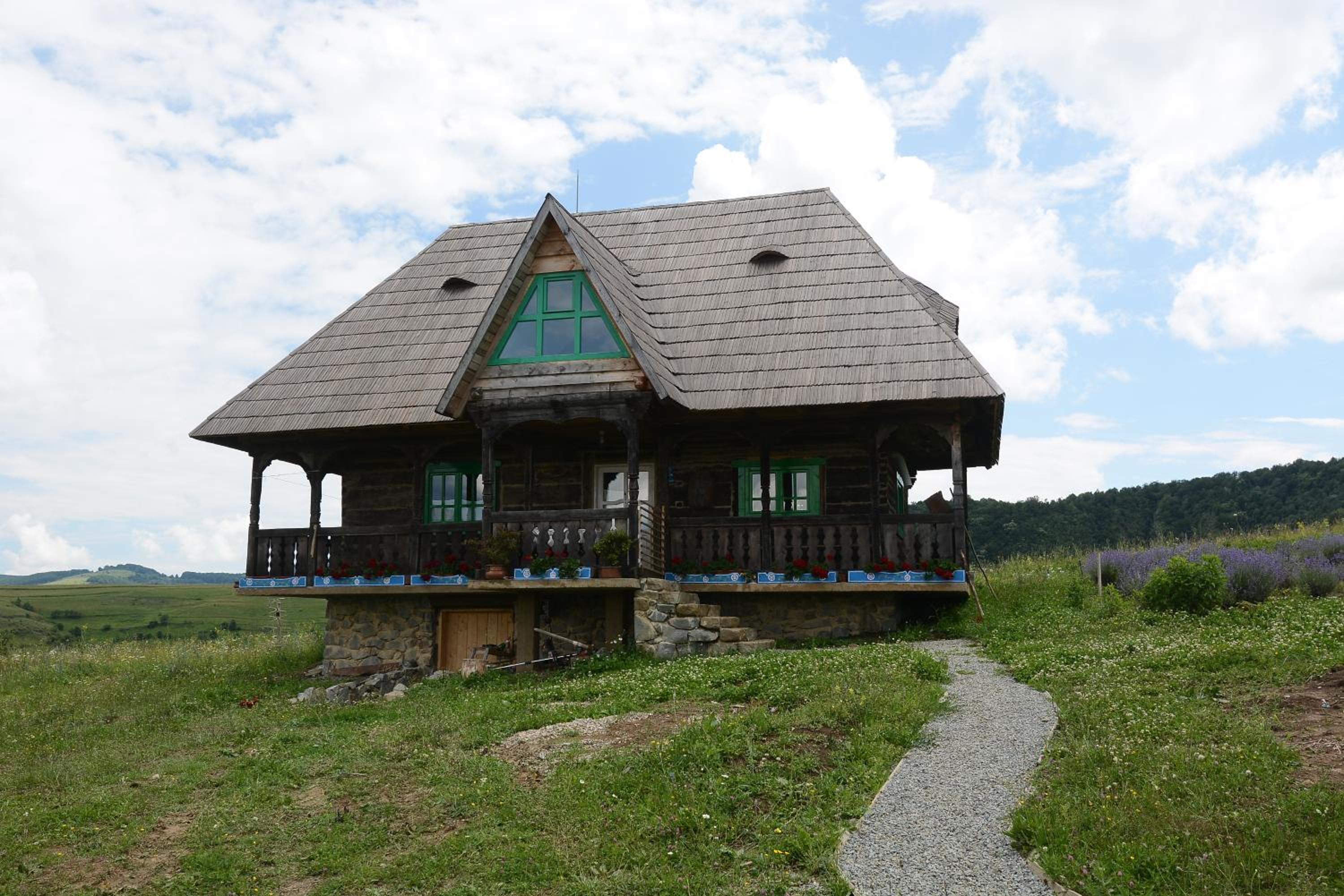 Photo 50