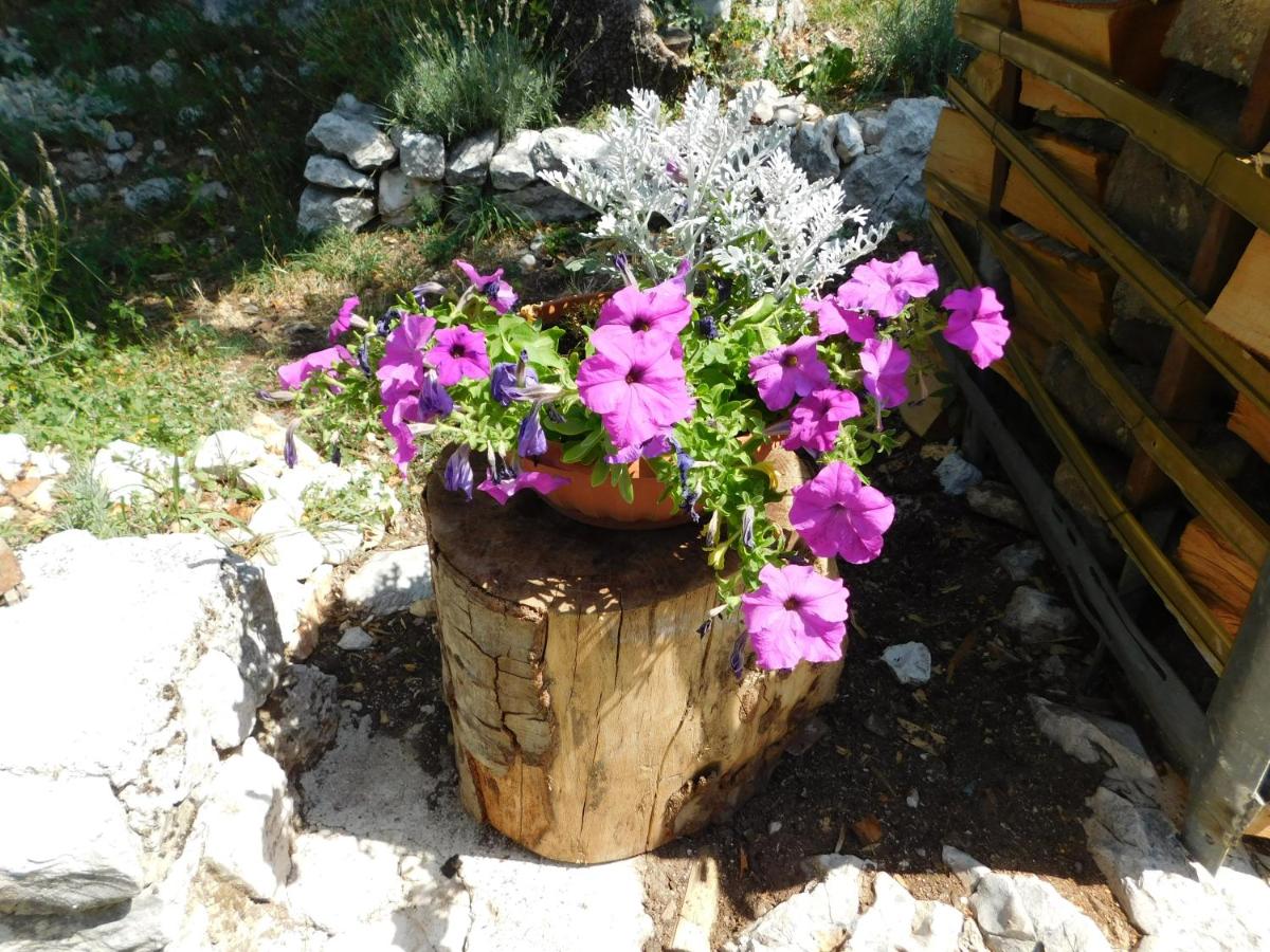 Photo 23