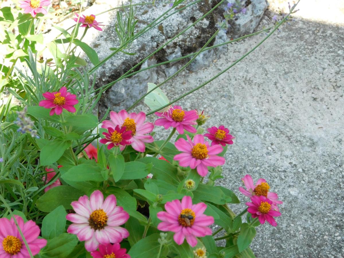 Photo 24