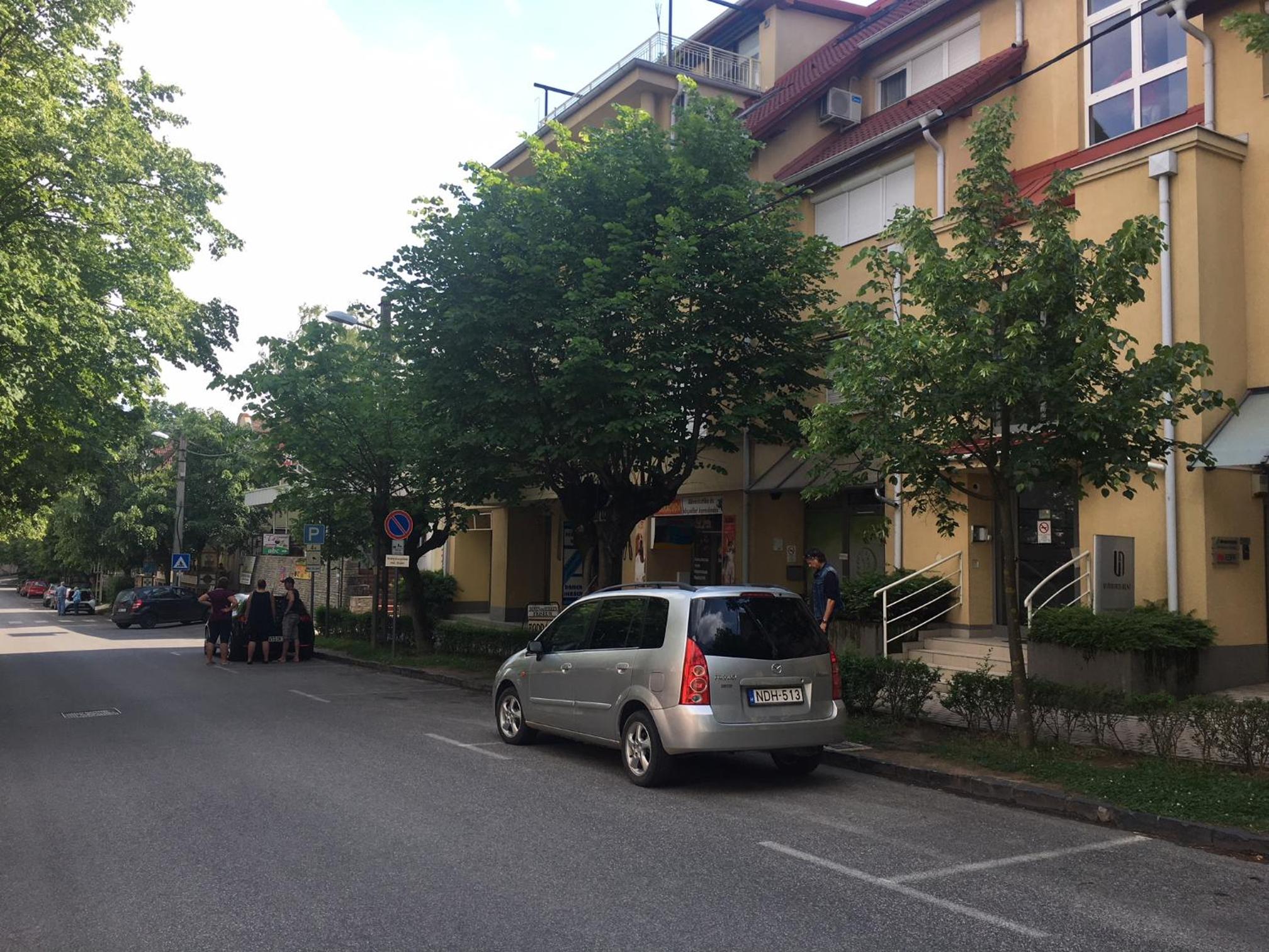 Photo 17
